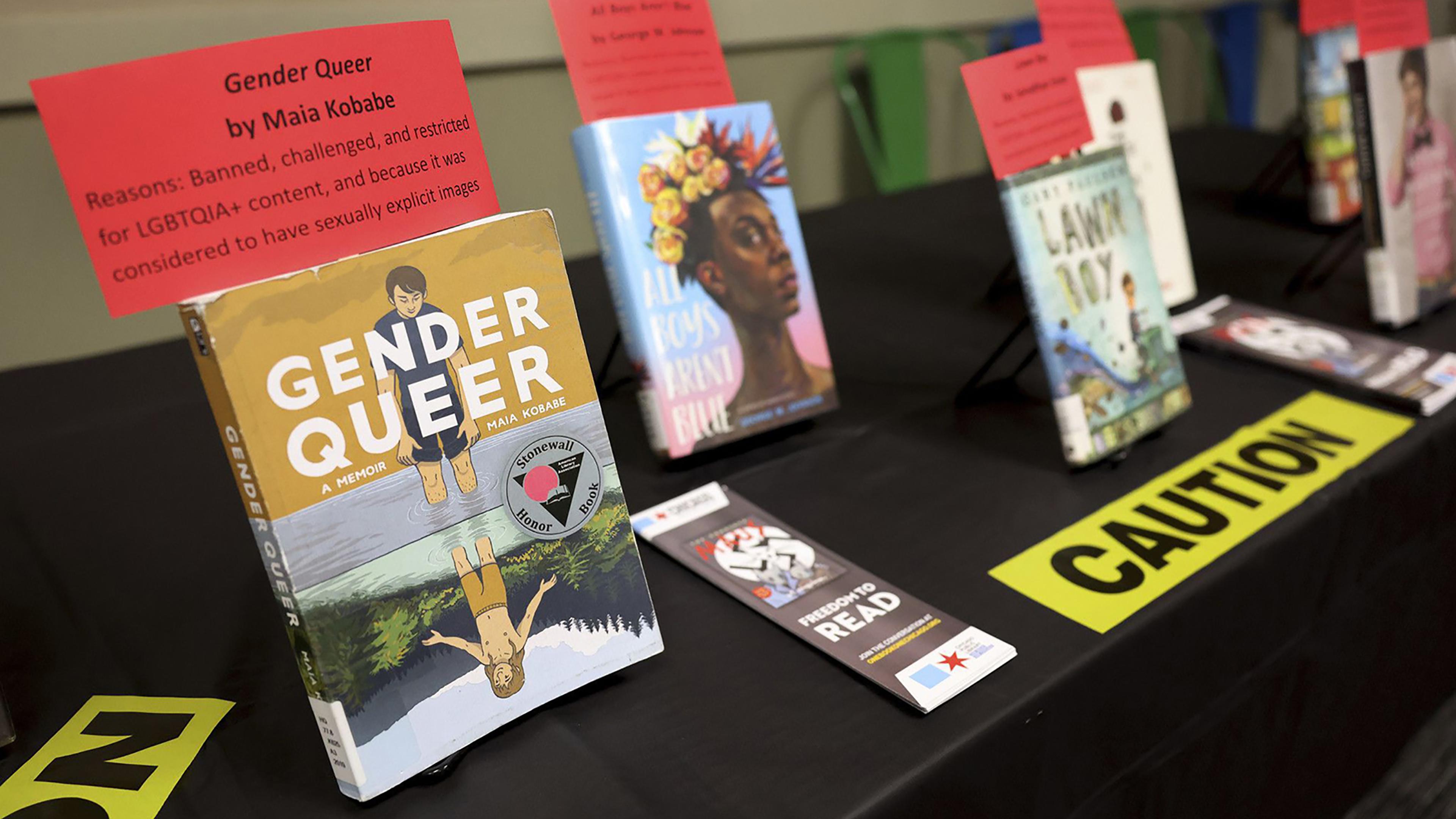 A selection of banned and challenged books during Banned Books Week 2022, at the Lincoln Belmont branch of the Chicago Public Library on Sept. 22, 2022.