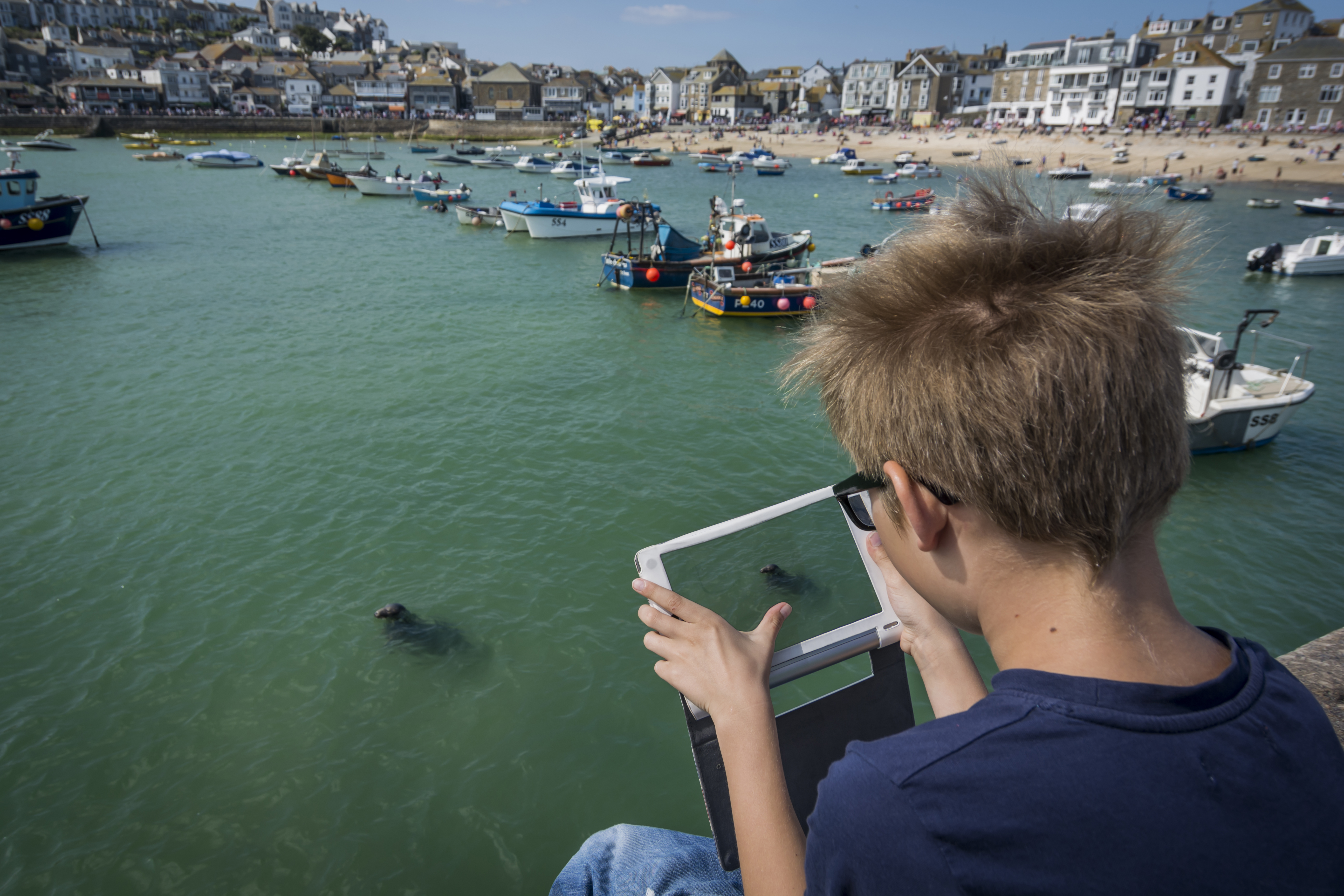 UK, Cornwall, boy photographing a seal at St Ives with his digital tablet