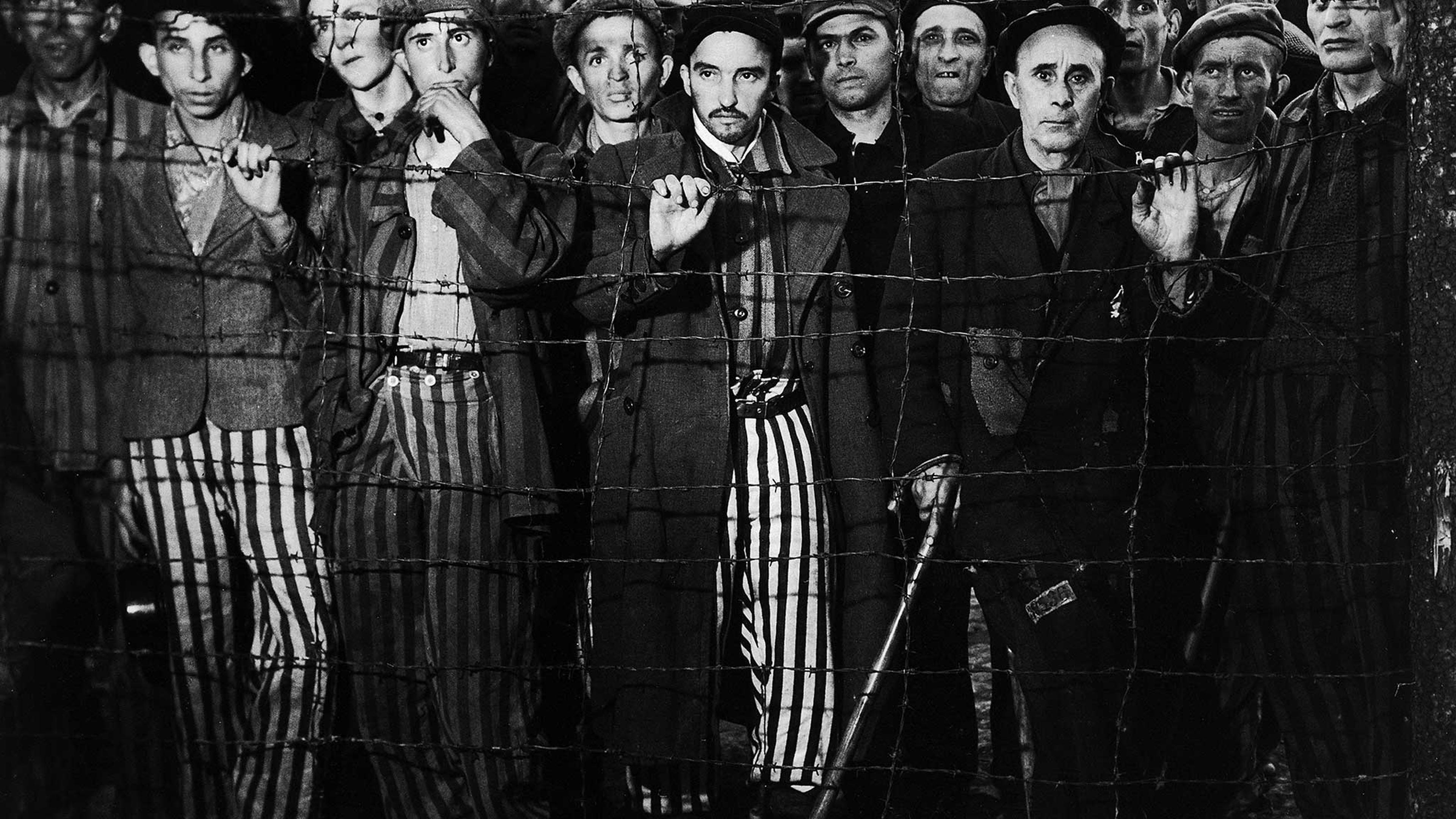 Buchenwald: Photos From the Liberation of the Camp, April 1945