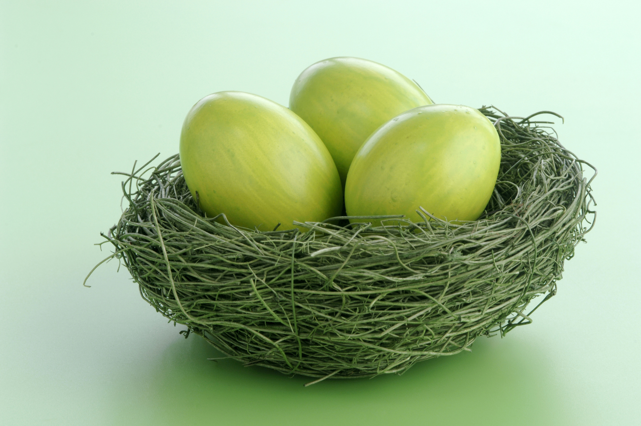 Easter eggs in nest