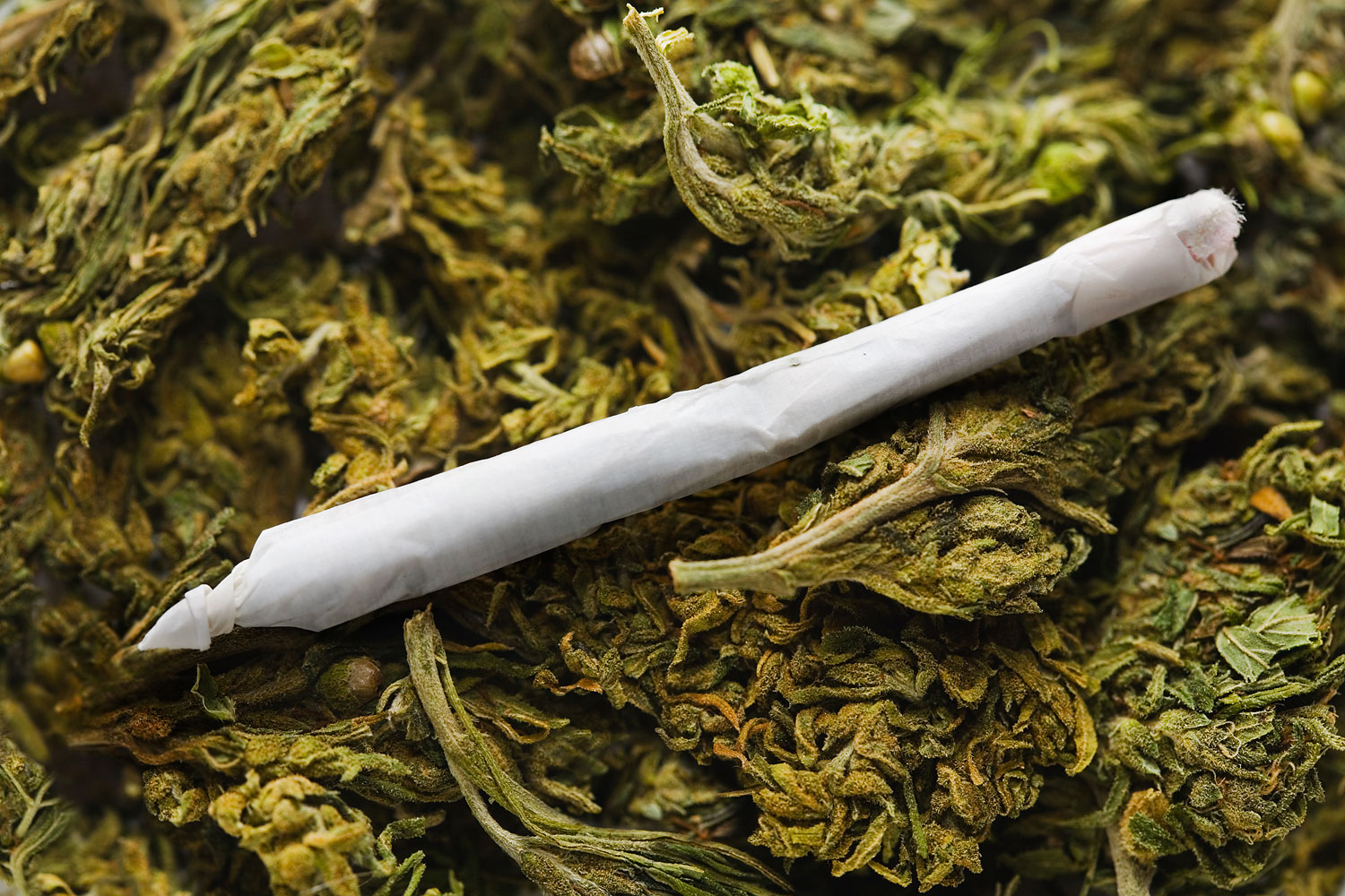 marijuana