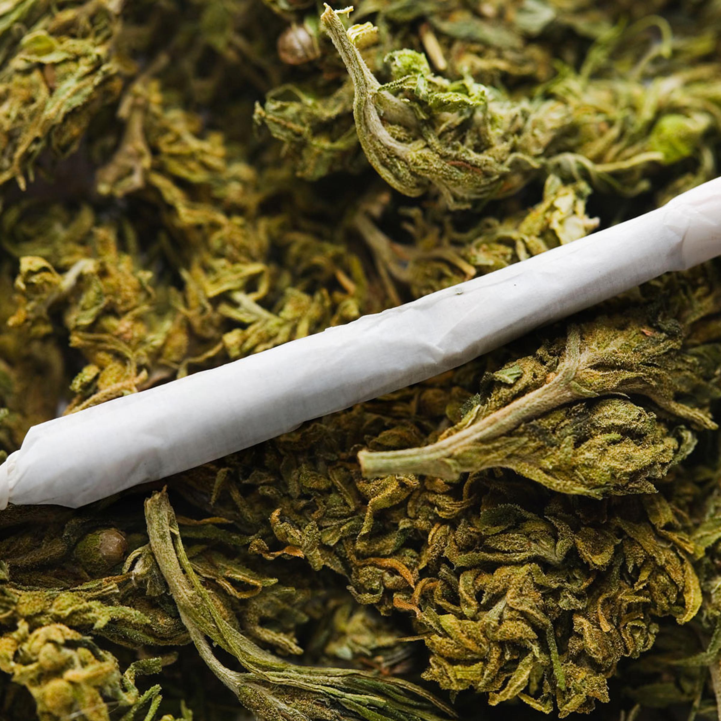 marijuana