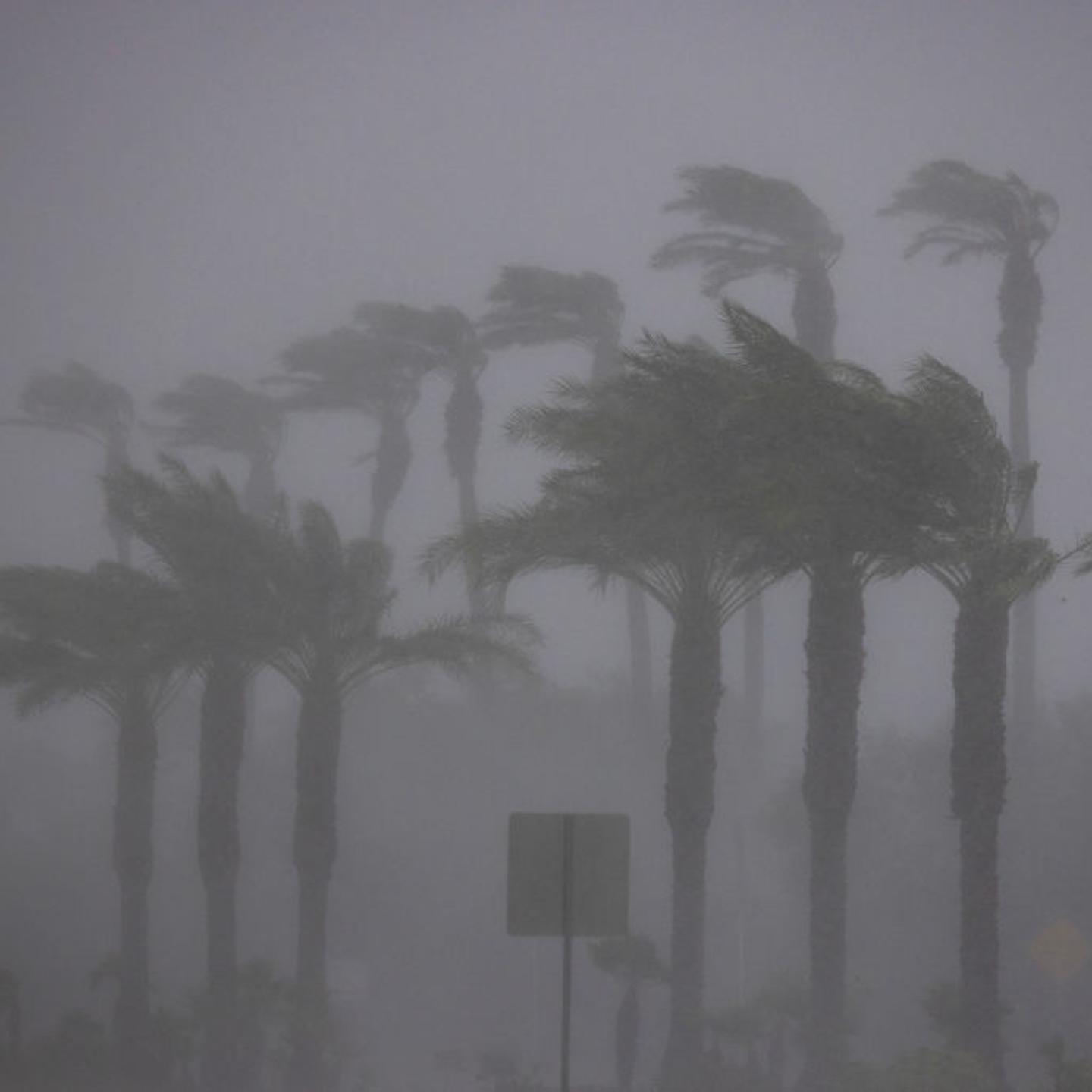 Tropical Storm Hilary Brings Wind And Heavy Rain To Southern California