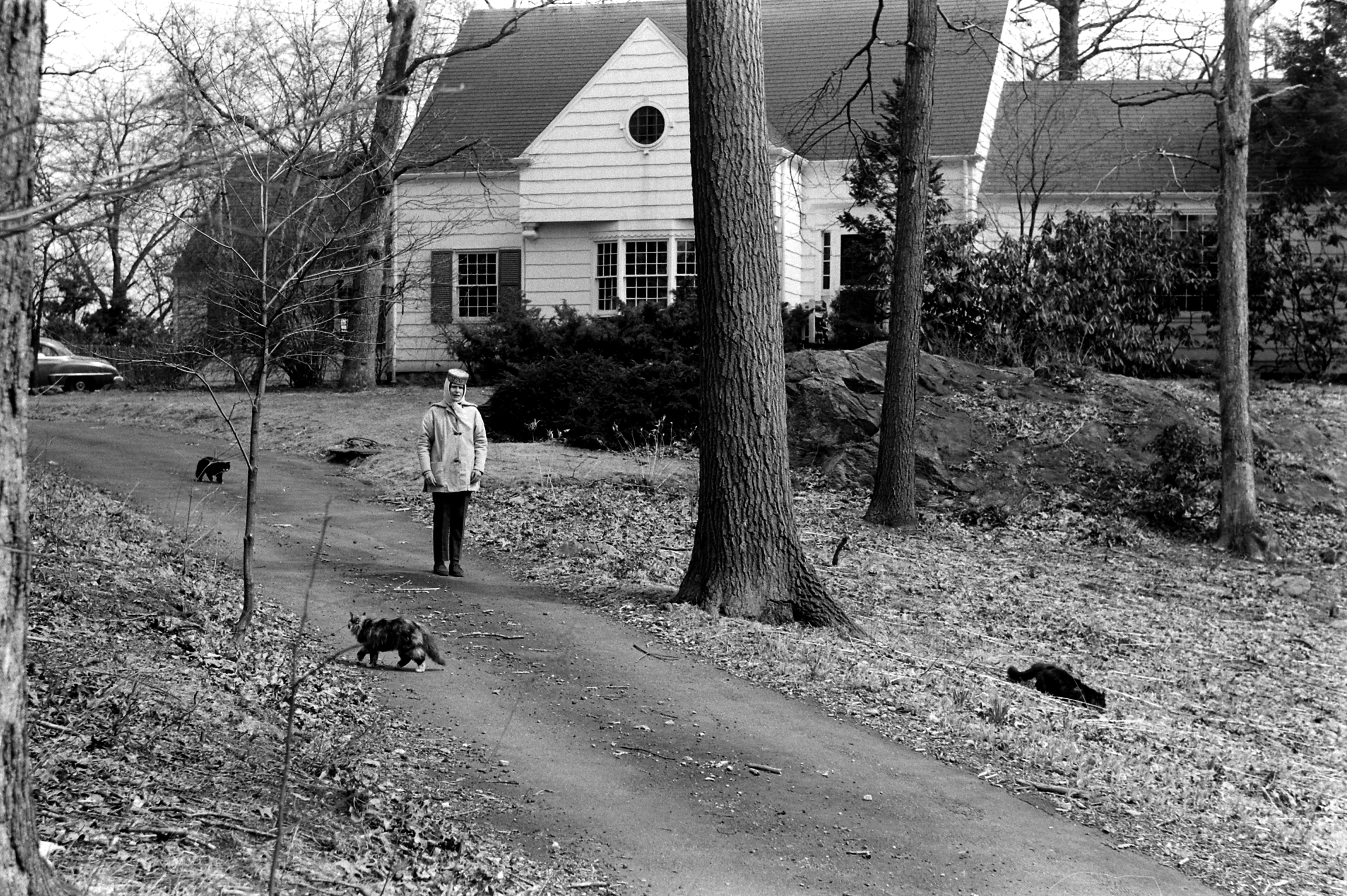 Margaret Bourke-White's struggle with Parkinson's disease.