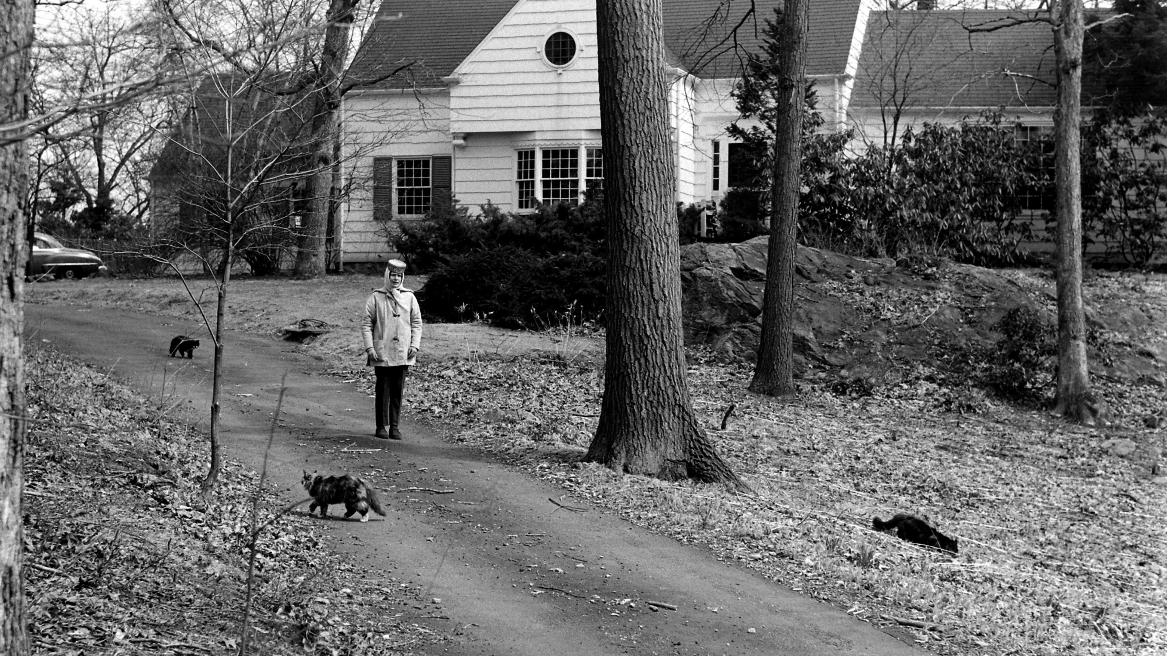 Margaret Bourke-White's struggle with Parkinson's disease.