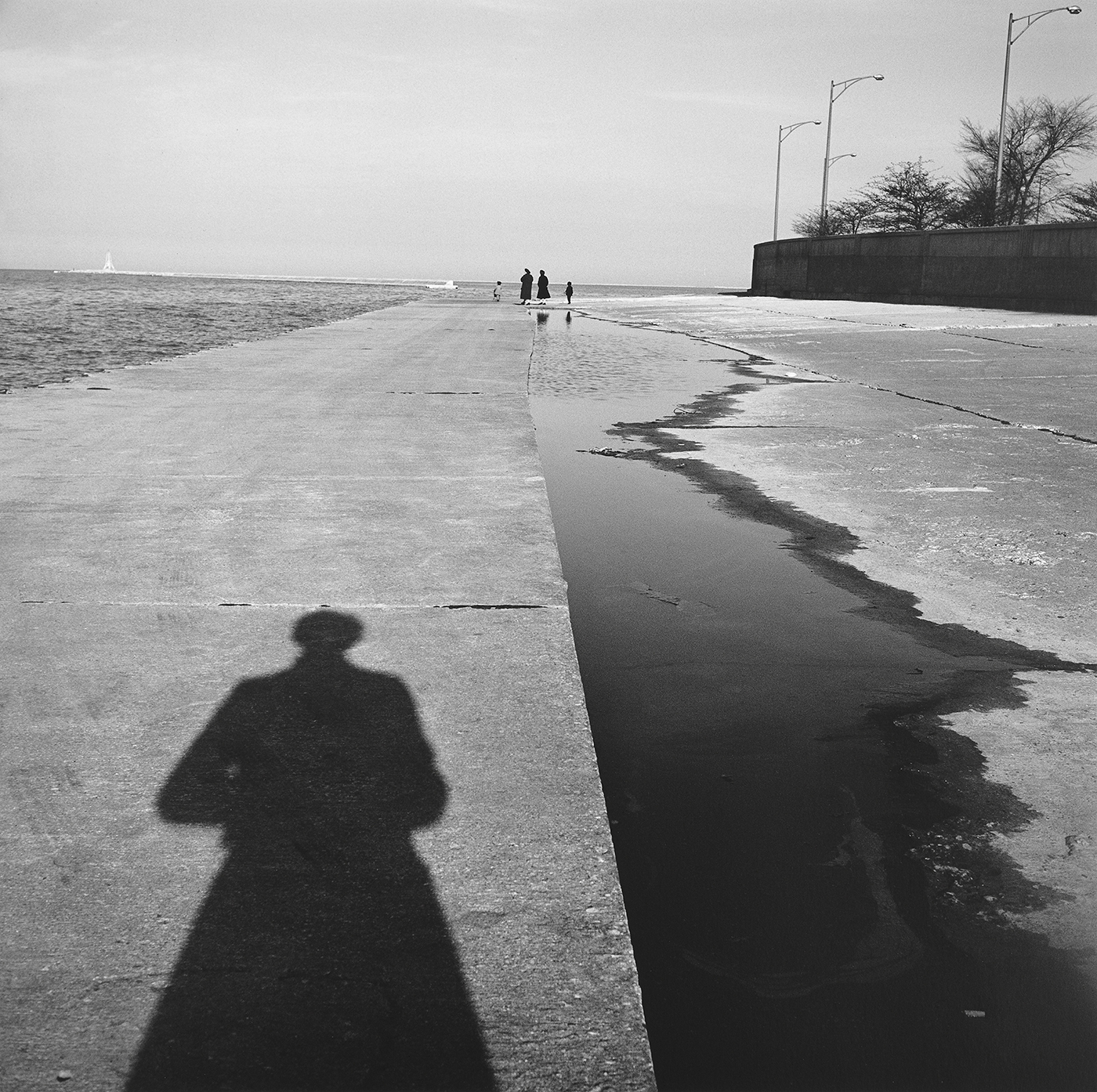 洋書 Vivian Maier Street Photographer To Deepen the Mystery: The Self-Portaits of Vivian Maier