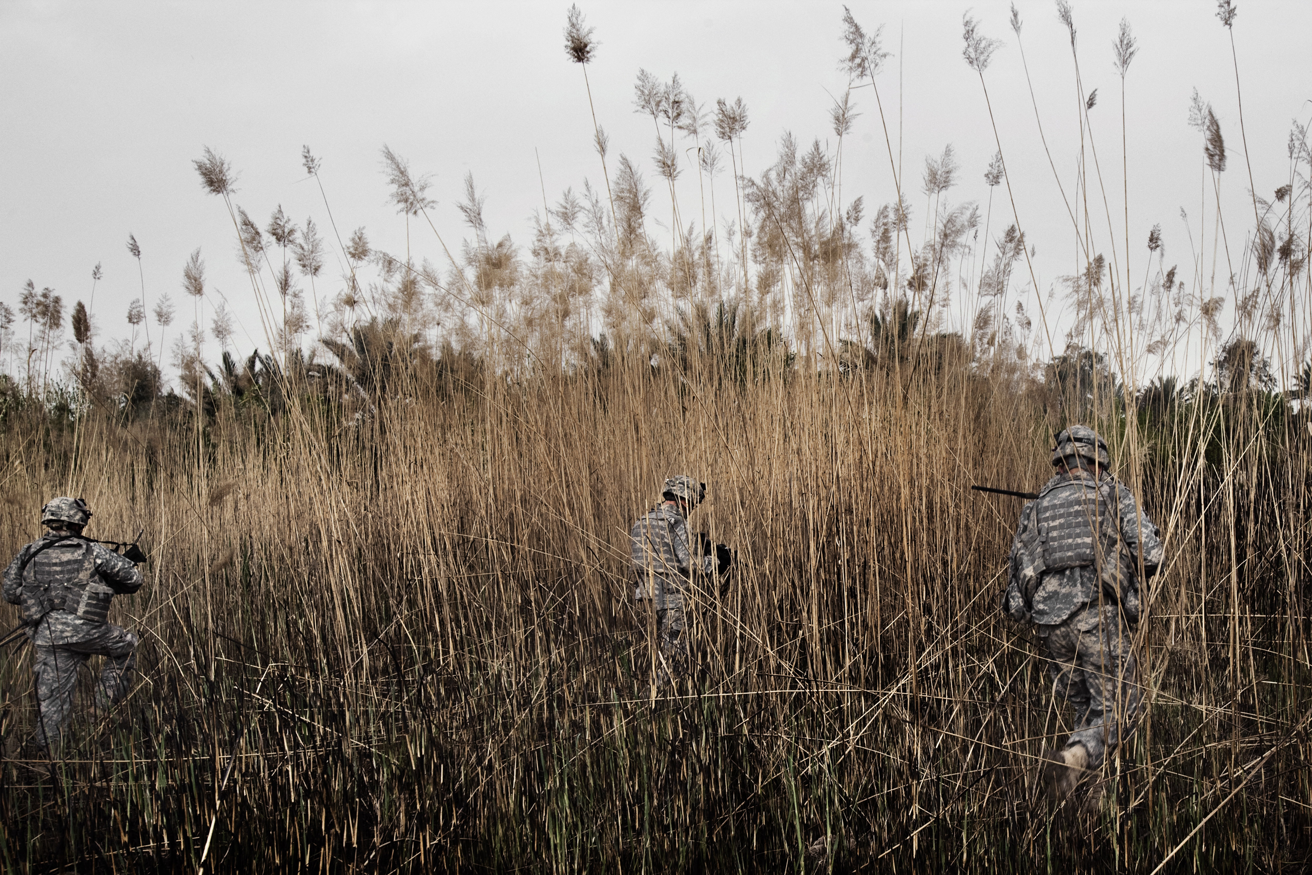 U.S. soldiers fan out across an open field near Baquba, searching for a sniper who fired one shot in their direction. Moments before coming under attack, the soldiers discovered a Kalashnikov, a Quran and the makings of a roadside bomb in a hiding place 