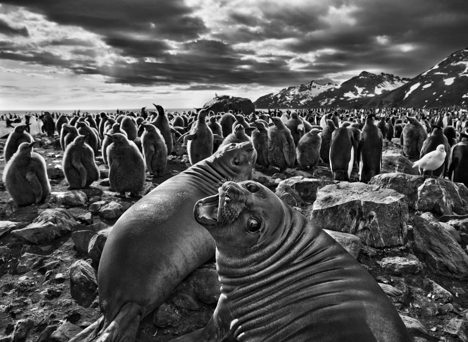 In the Beginnings: Sebastião Salgado's Genesis