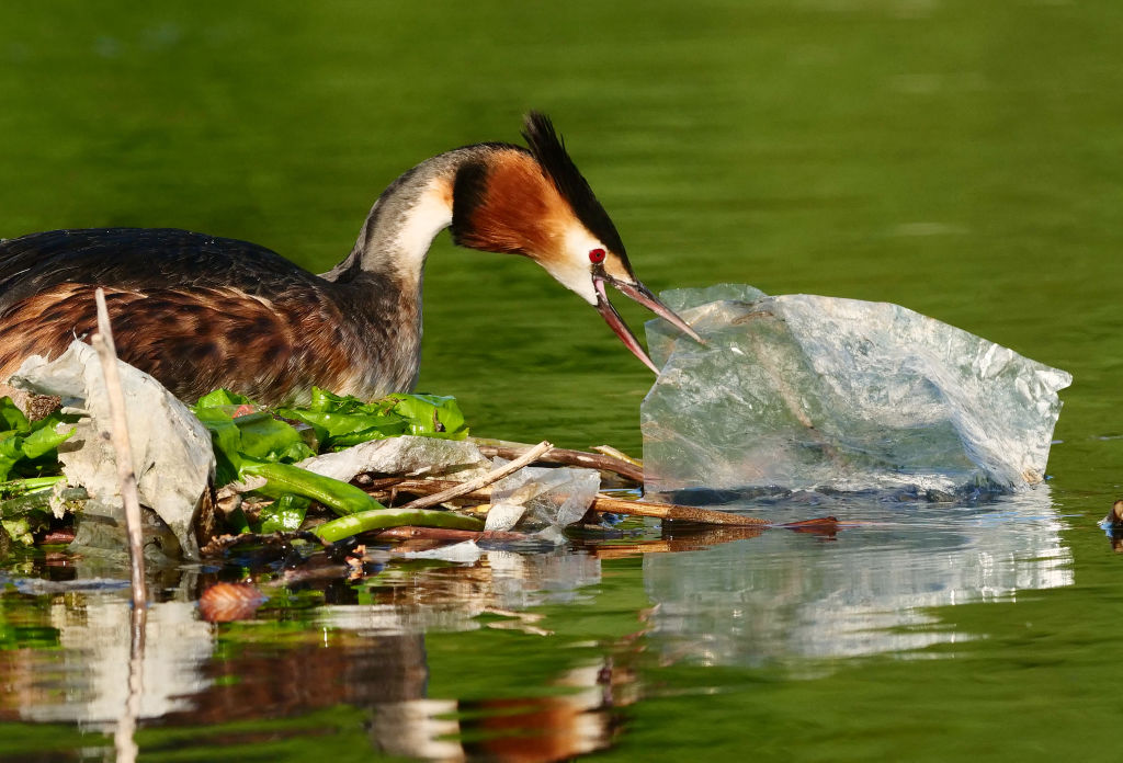 A high ambition treaty for plastic pollution could make scenes like this a thing of the past