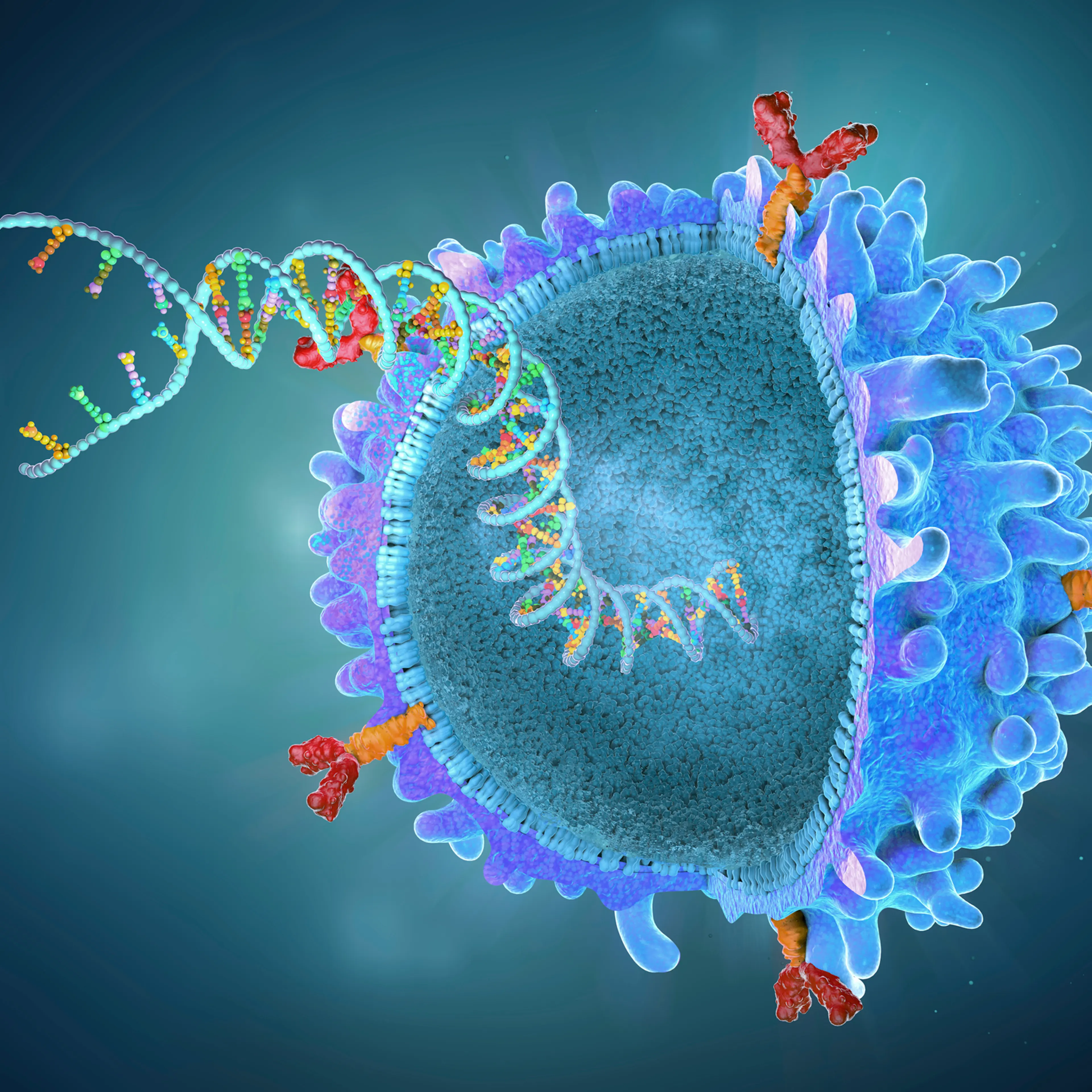 CAR T cell with implanted gene strain, illustration