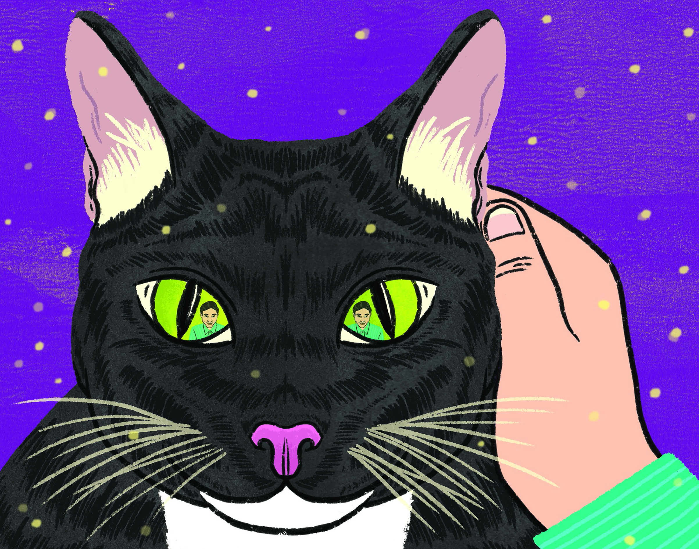 If You Love Cats, Read The Travelling Cat Chronicles