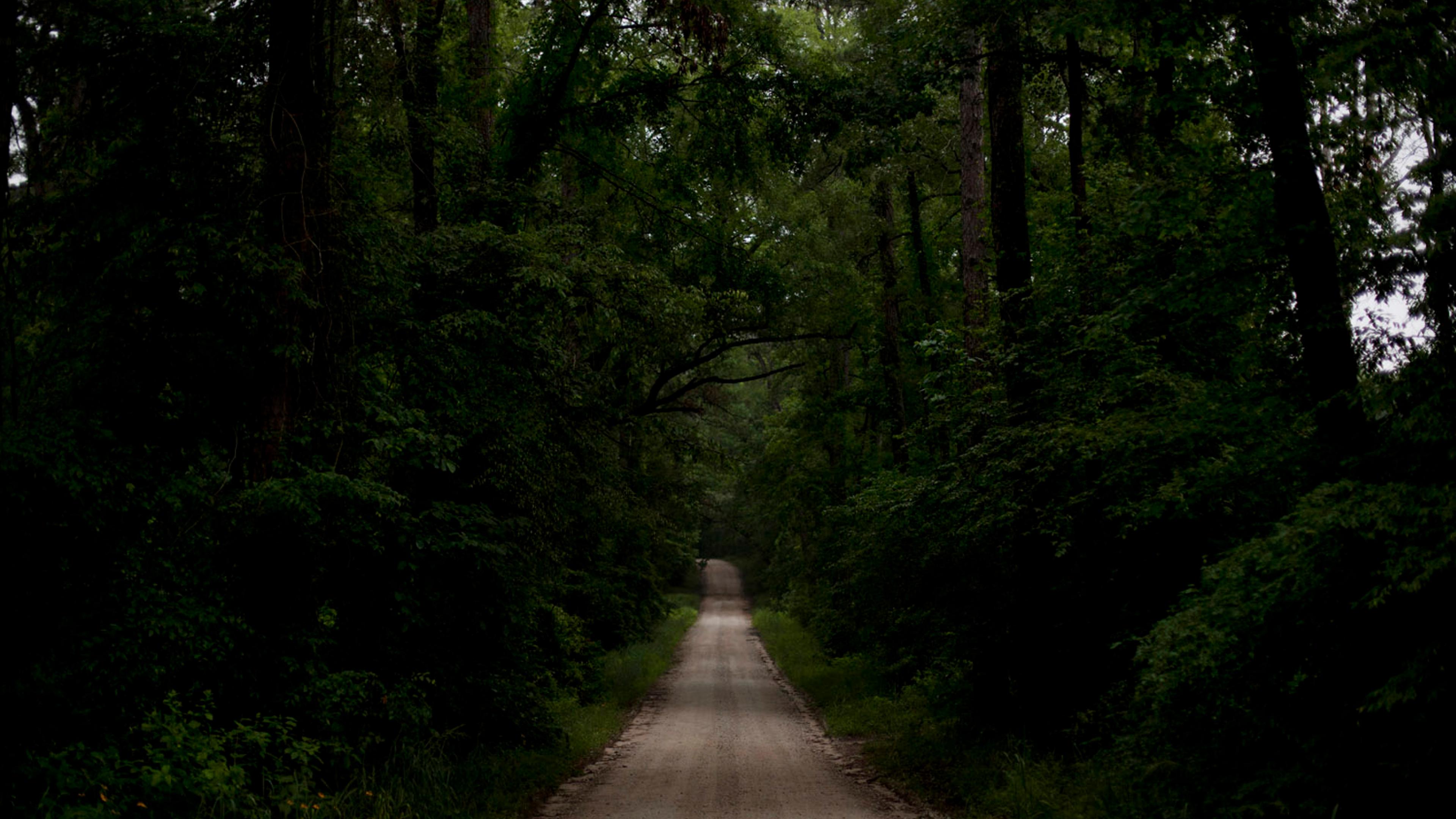 The Karolyi's training center is located at the end of a long dirt road that winds through forest where deer and wild boars roam, outside of Houston.