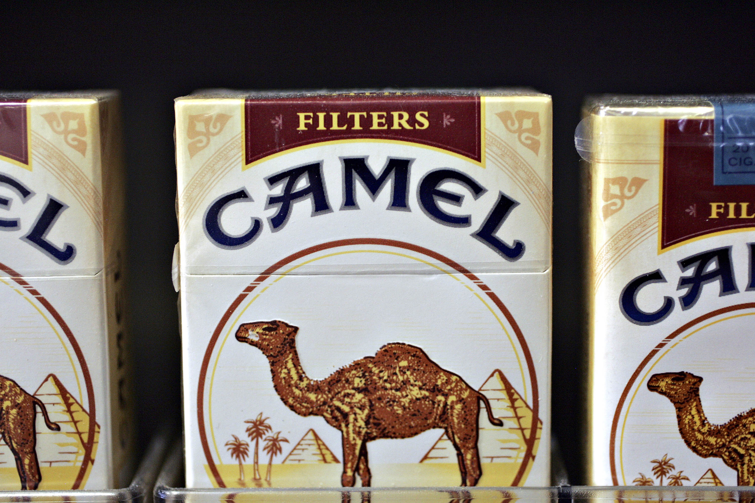 elfbar elfa kaufen Camel Connect Menthol main image 1