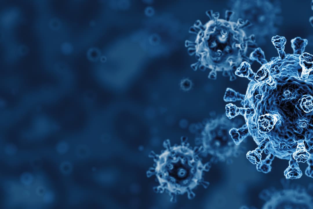 How COVID-19 Changes the Immune System