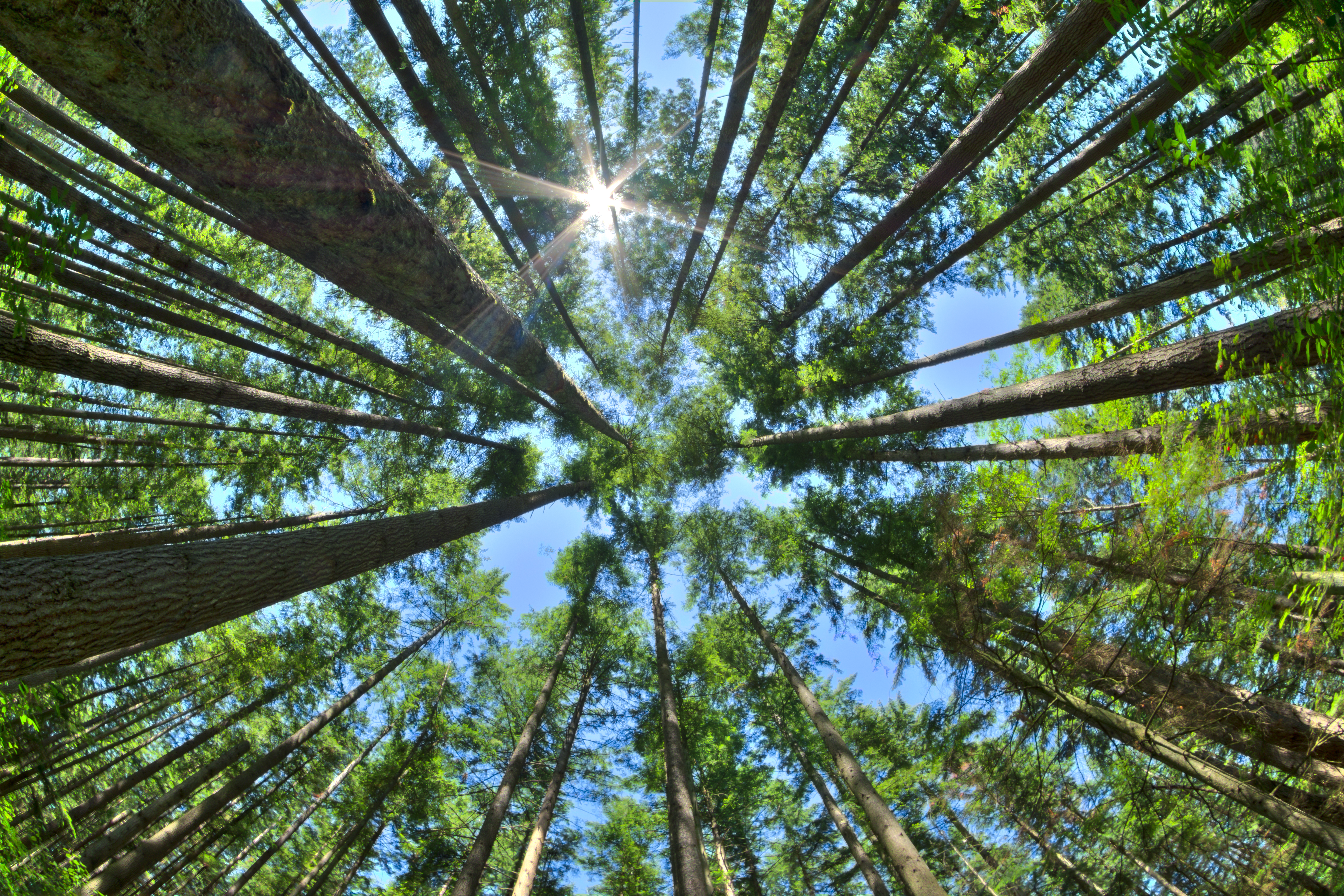 How to Get the Biggest Mental-Health Boost from 15 Minutes Outdoors