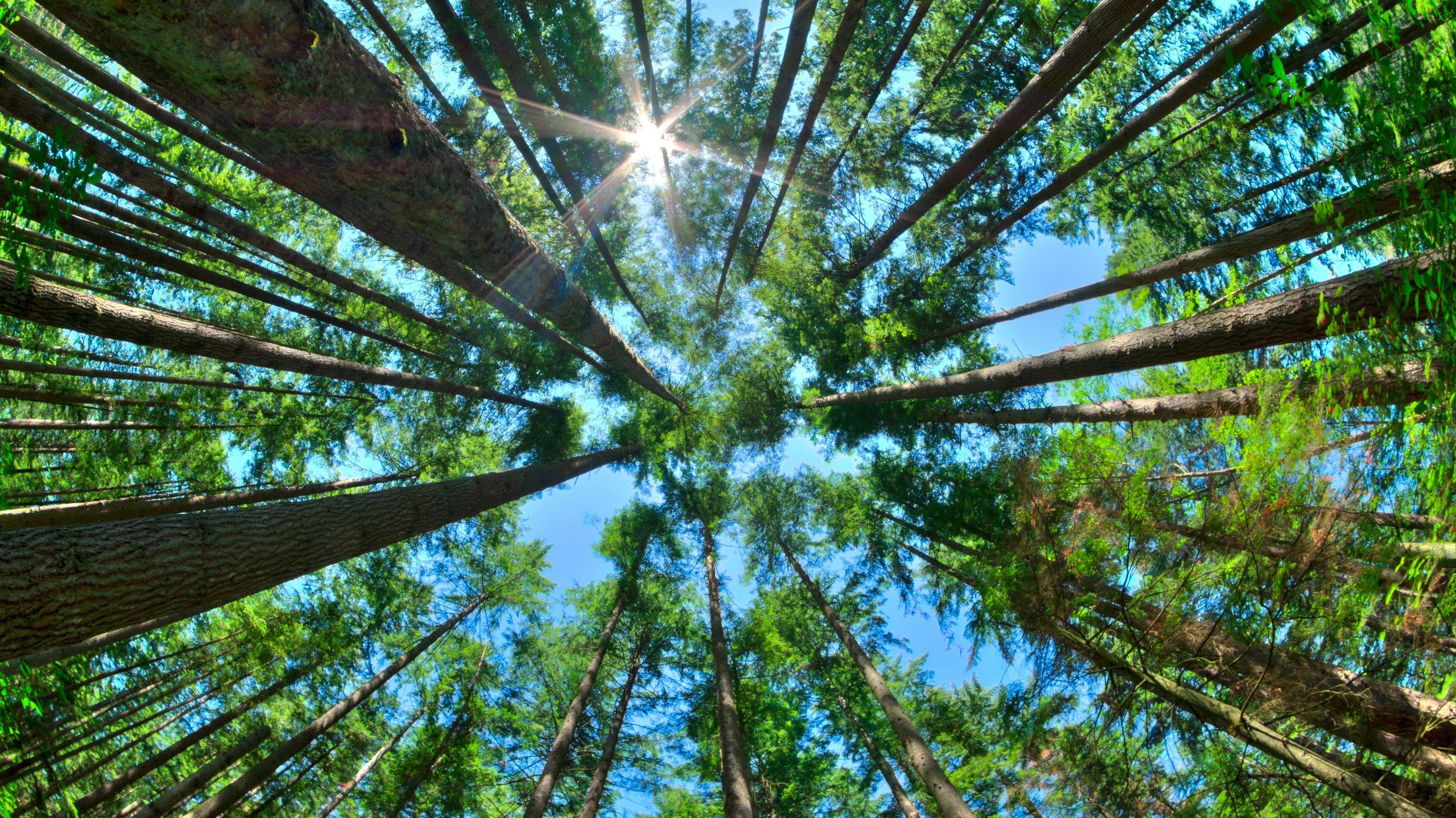 How to Get the Biggest Mental-Health Boost from 15 Minutes Outdoors
