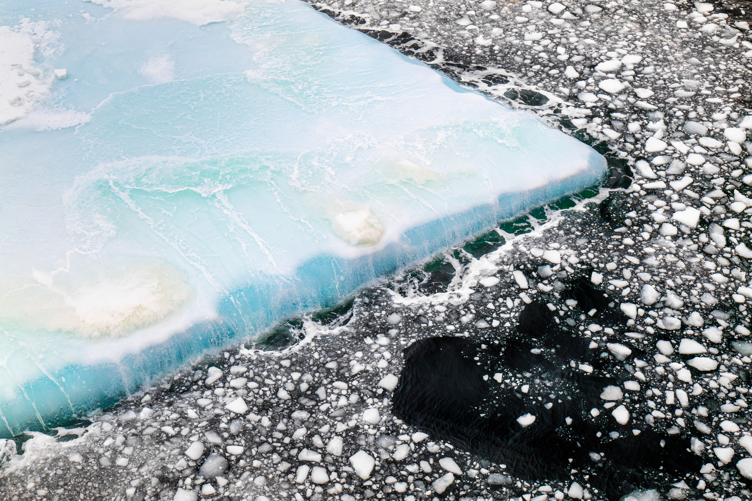 In 2024, the El Niño phenomenon significantly influenced Antarctica, especially by impacting ocean and ice dynamics. El Niño intensified warmer ocean currents near West Antarctica, accelerating ice melt under the floating ice shelves. This warming is ass