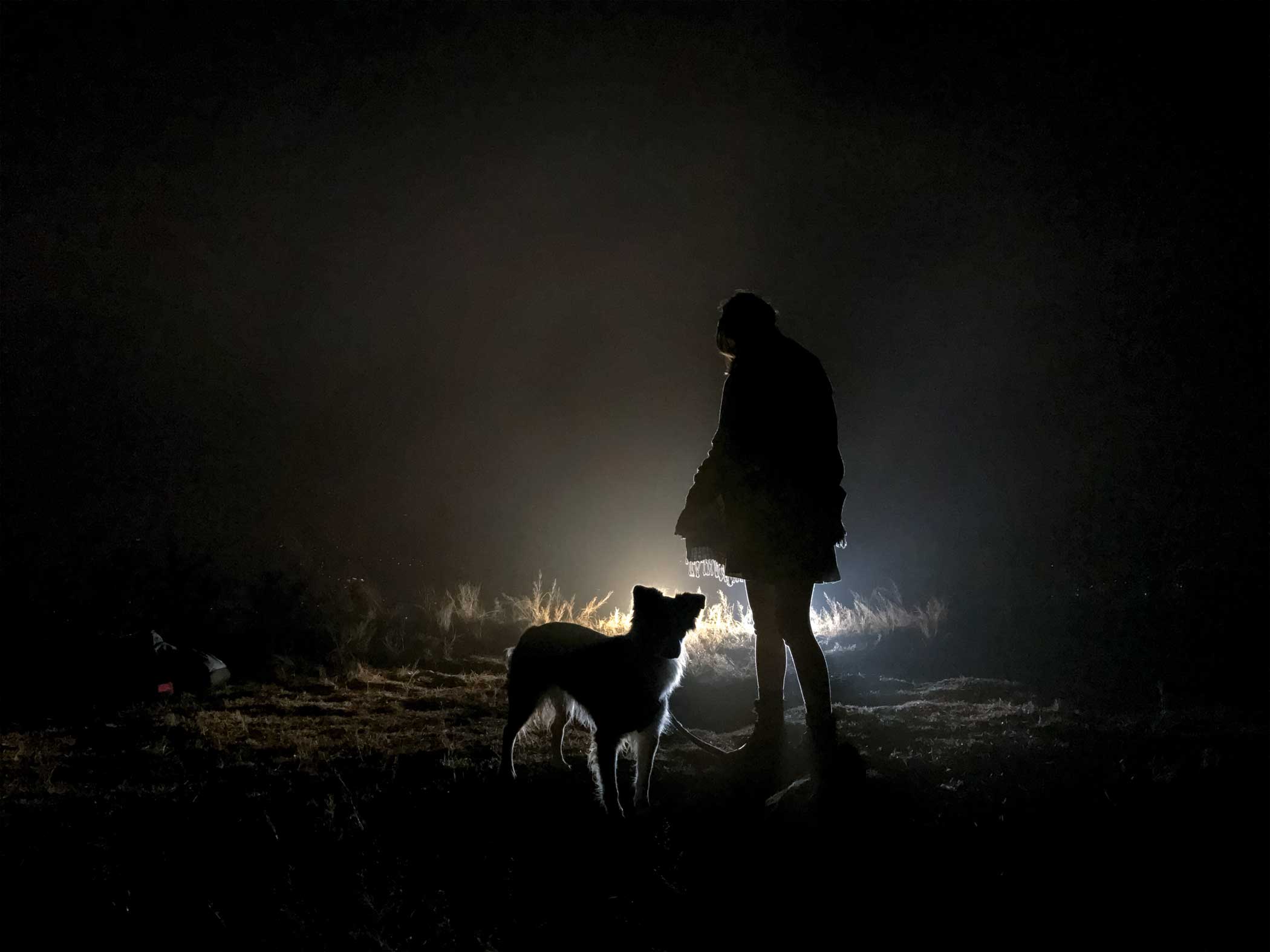 From Apple's "Shot on  iPhone" campaign