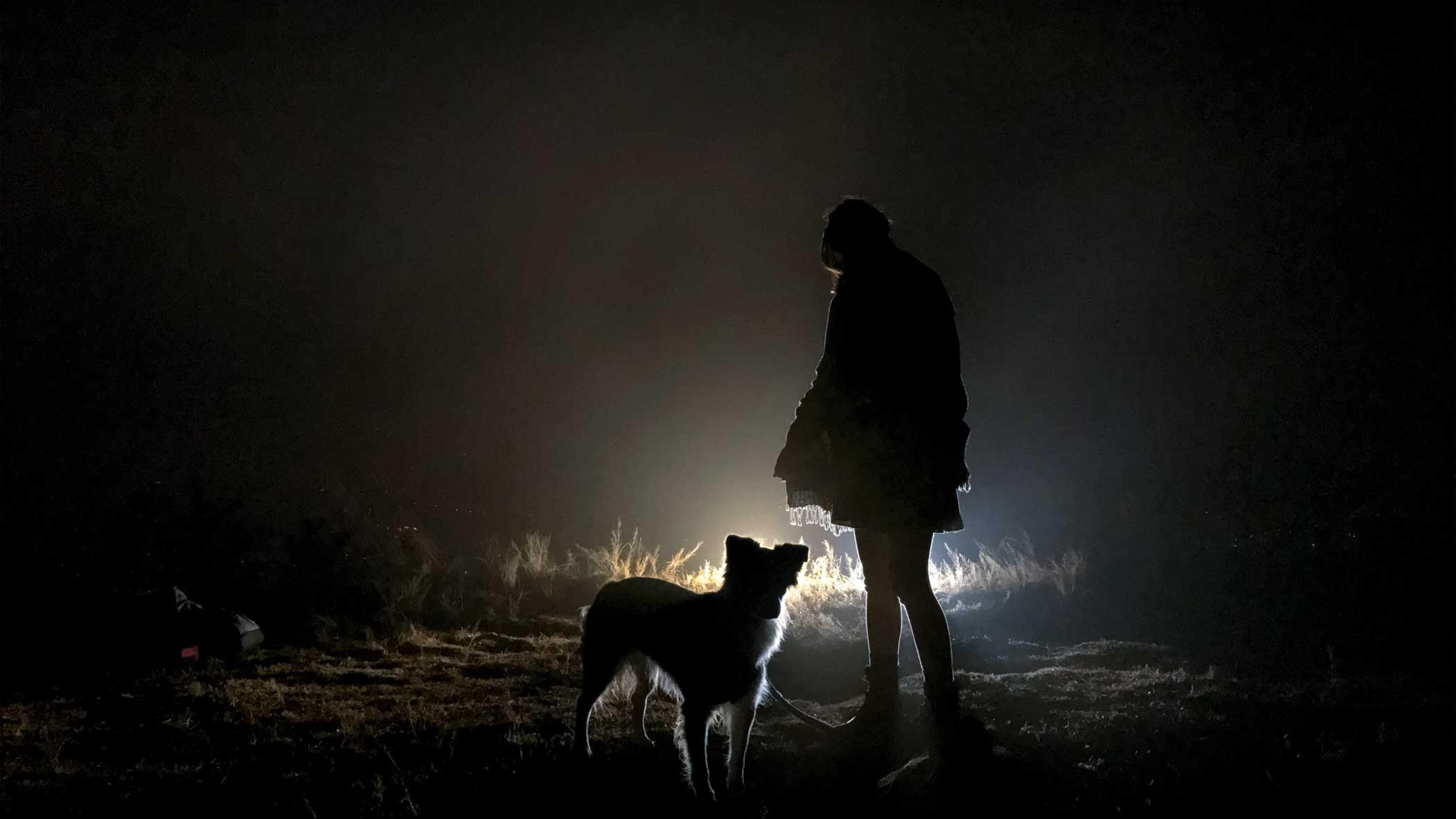 From Apple's "Shot on iPhone" campaign