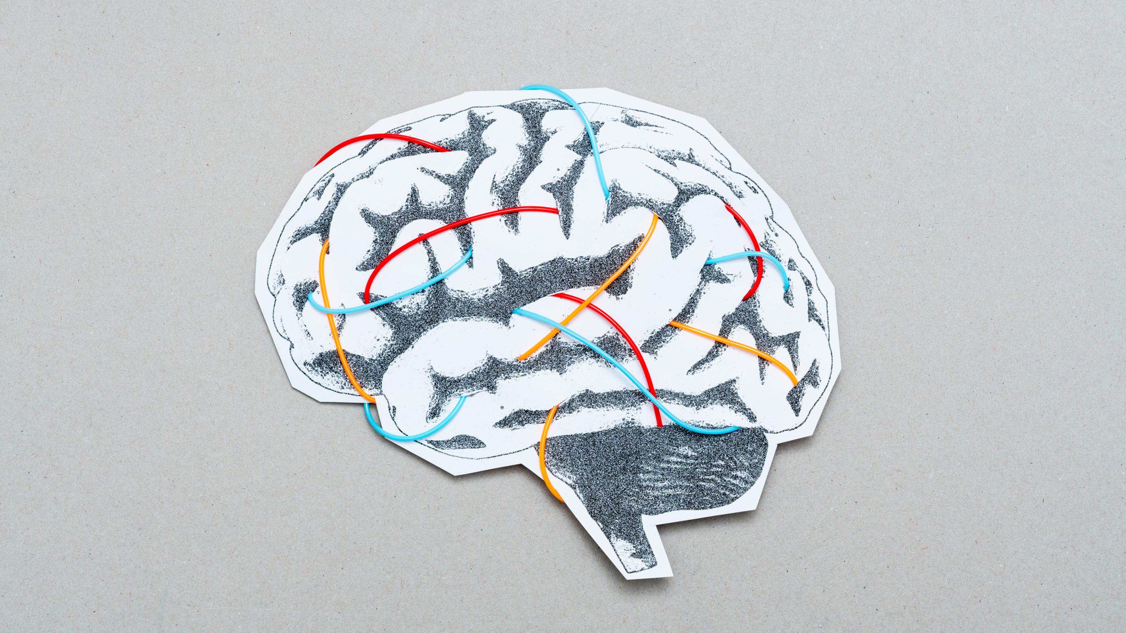 The Brain Processes Language Even Under Anesthesia, a New Study Finds