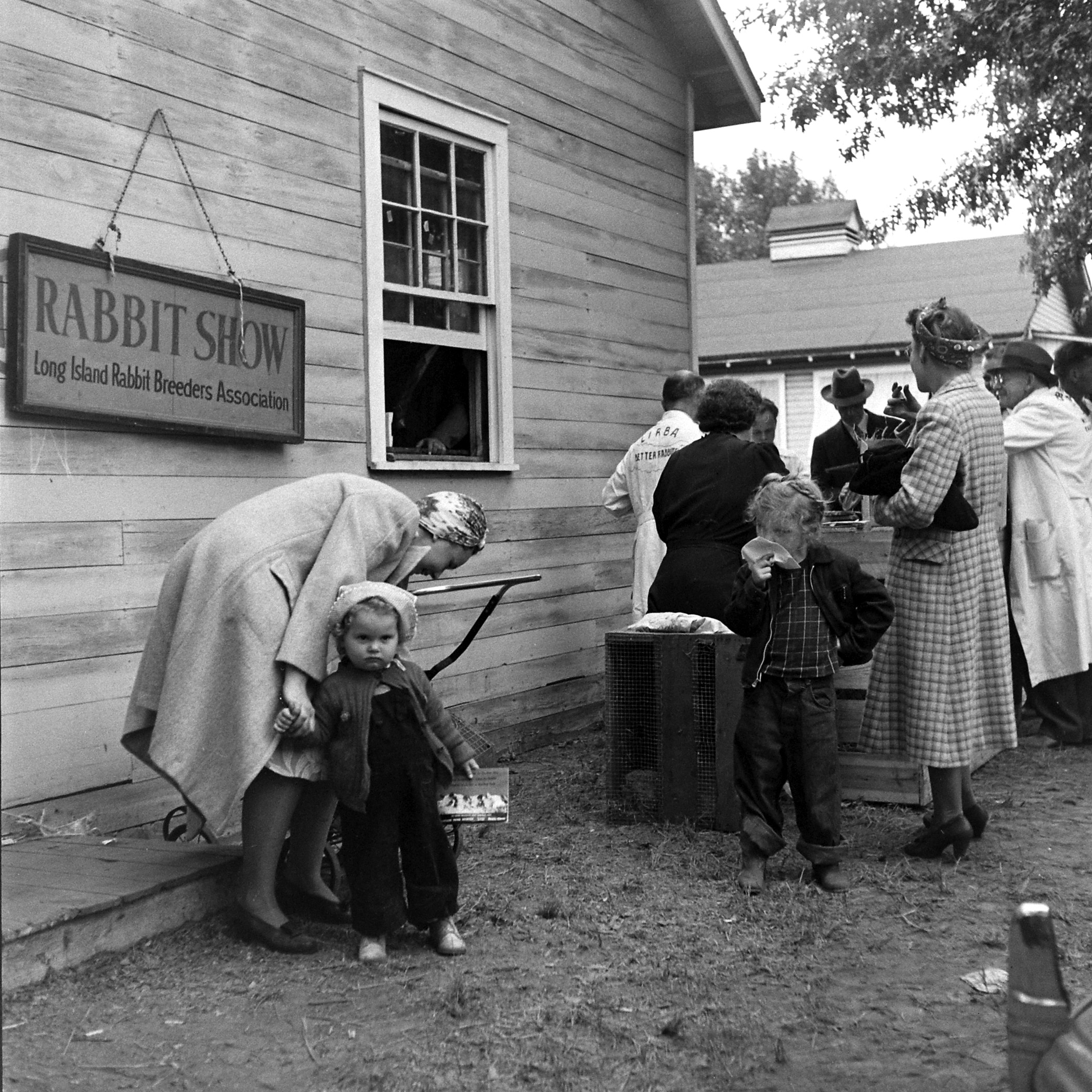 Easter Rabbit Pictures From LIFE Magazine's Archives