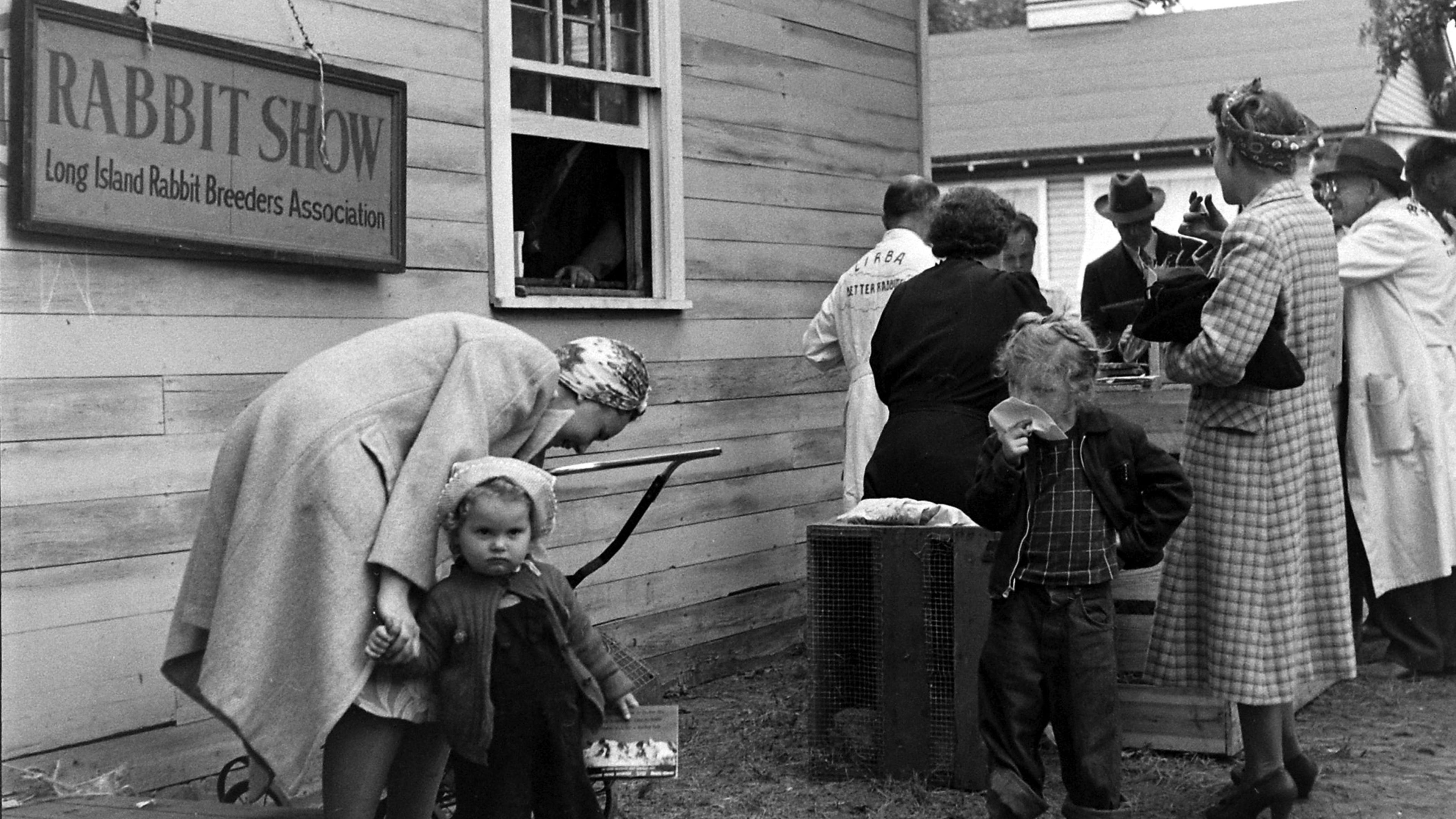 Easter Rabbit Pictures From LIFE Magazine's Archives
