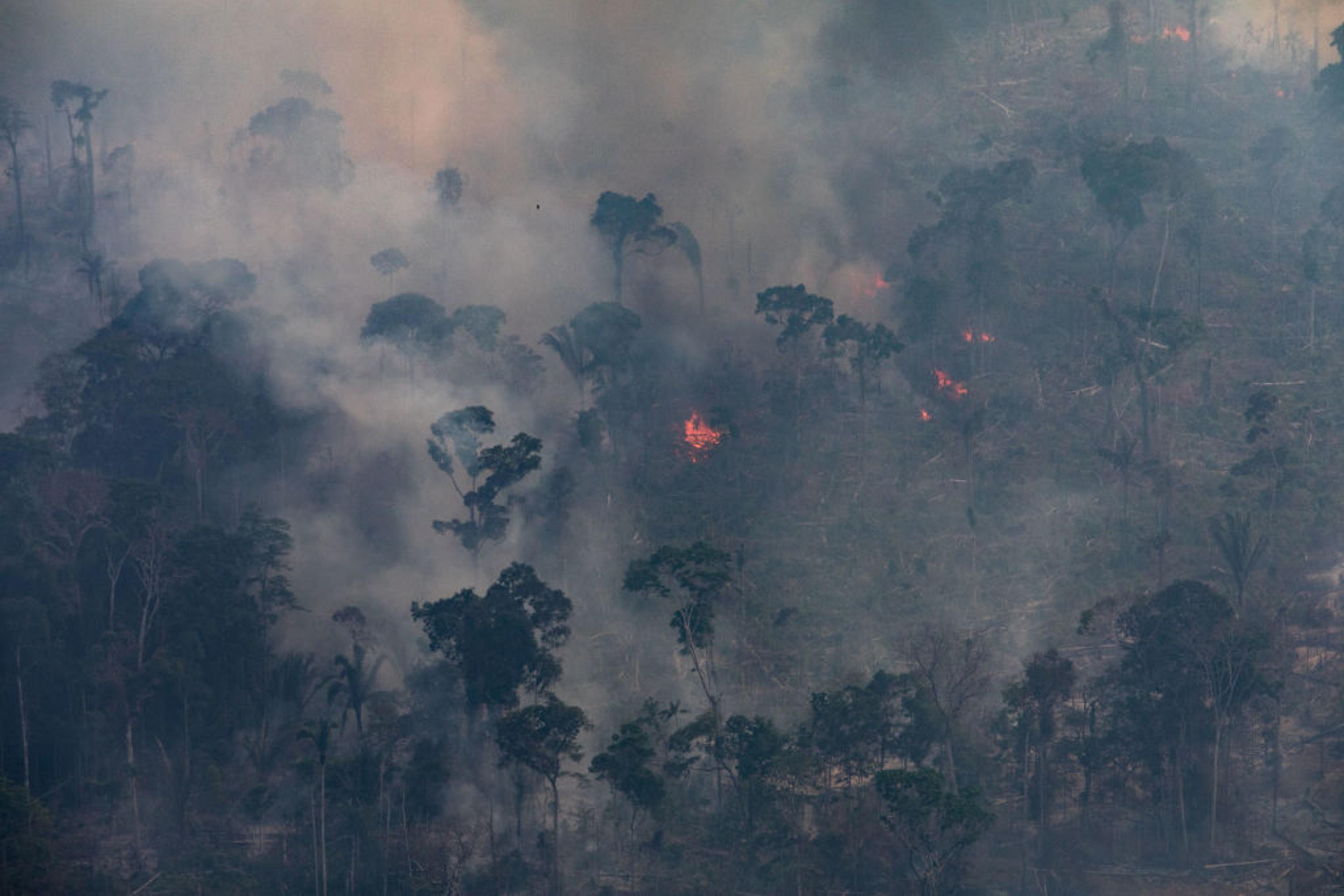Record Number Of Fires Torch Brazil's Amazon Forest