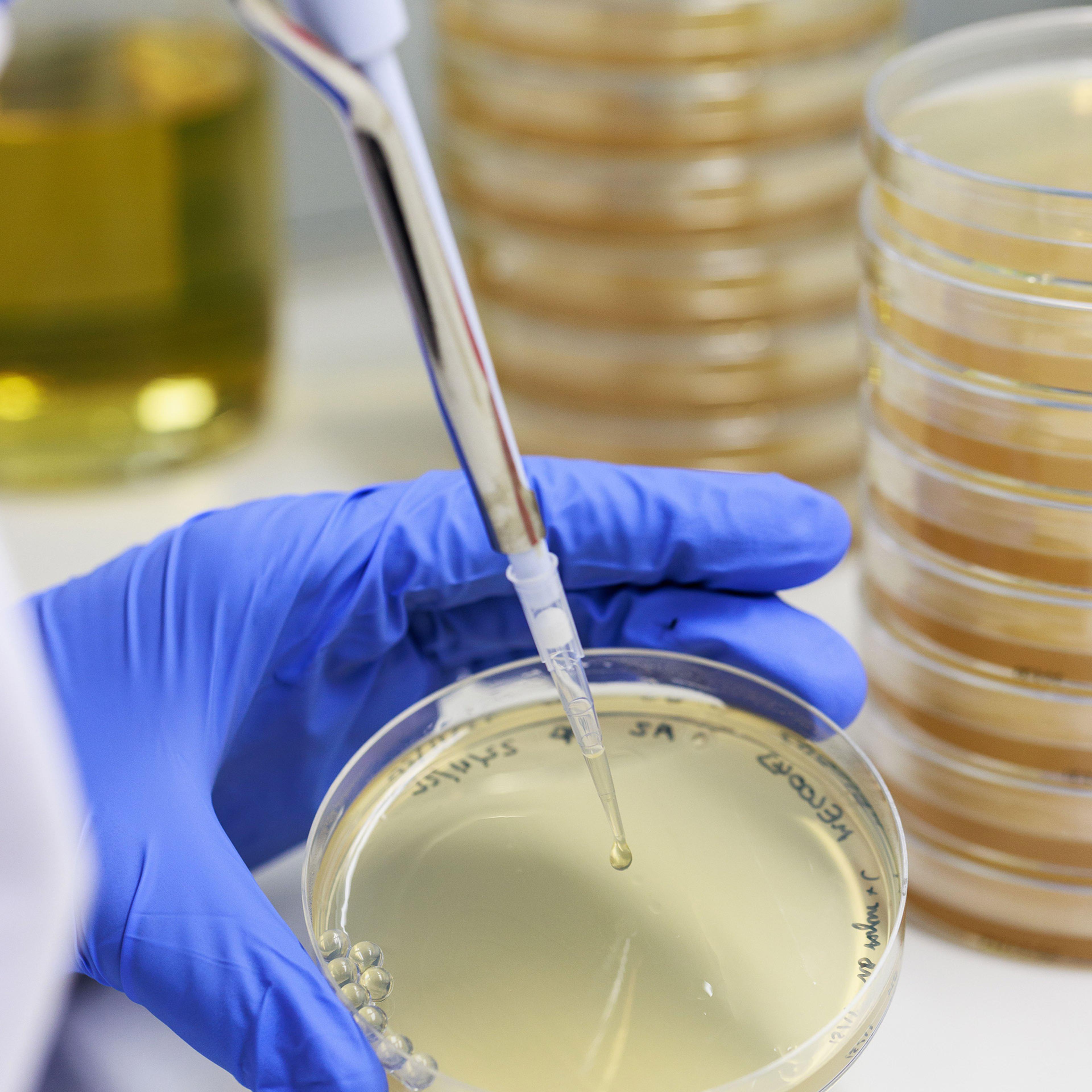 Epoch Biodesign used AI to design enzymes for three major plastic groups, to help process waste.