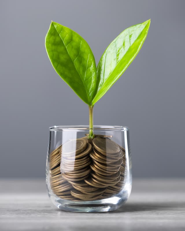 Amazon Instead Capital 2. Support Local Alternatives