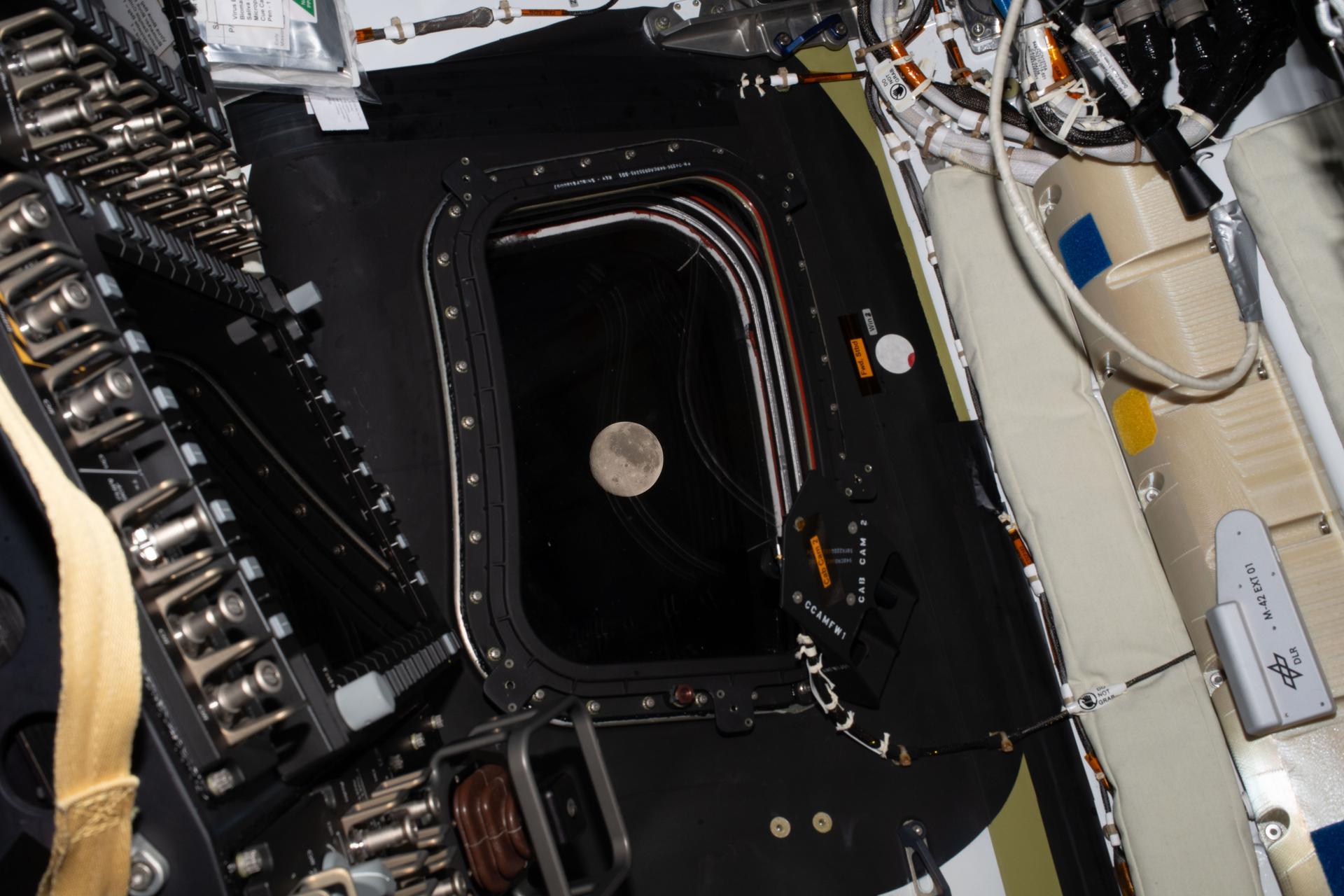 Watch Live: NASA's Artemis II Crew Sets Distance Record With Lunar Flyby