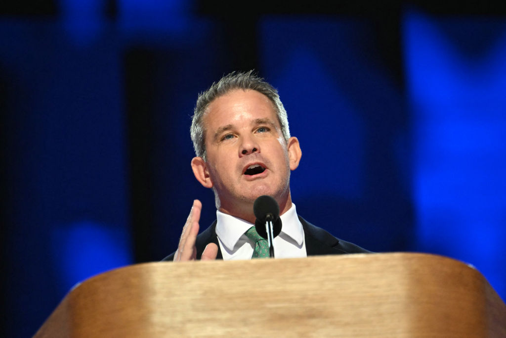 At DNC, Adam Kinzinger Says Trump 'Suffocated' GOP's Soul