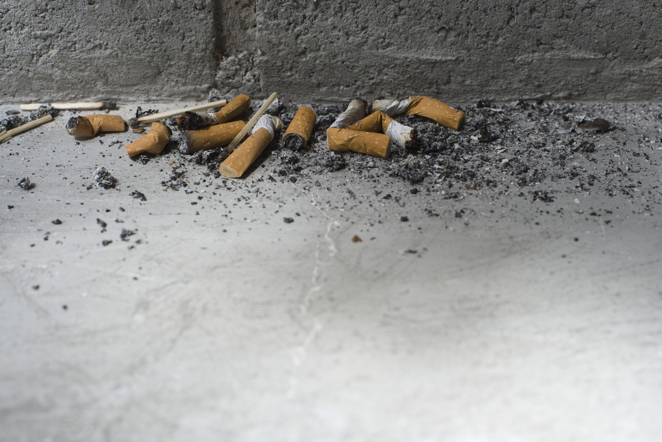 cigarette packet warning pictures Climate labels similar to cigarette packet warnings could cut meat  consumption – new research