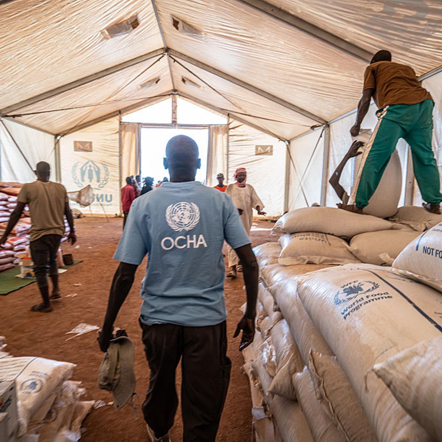 Sudan's Displacement Crisis