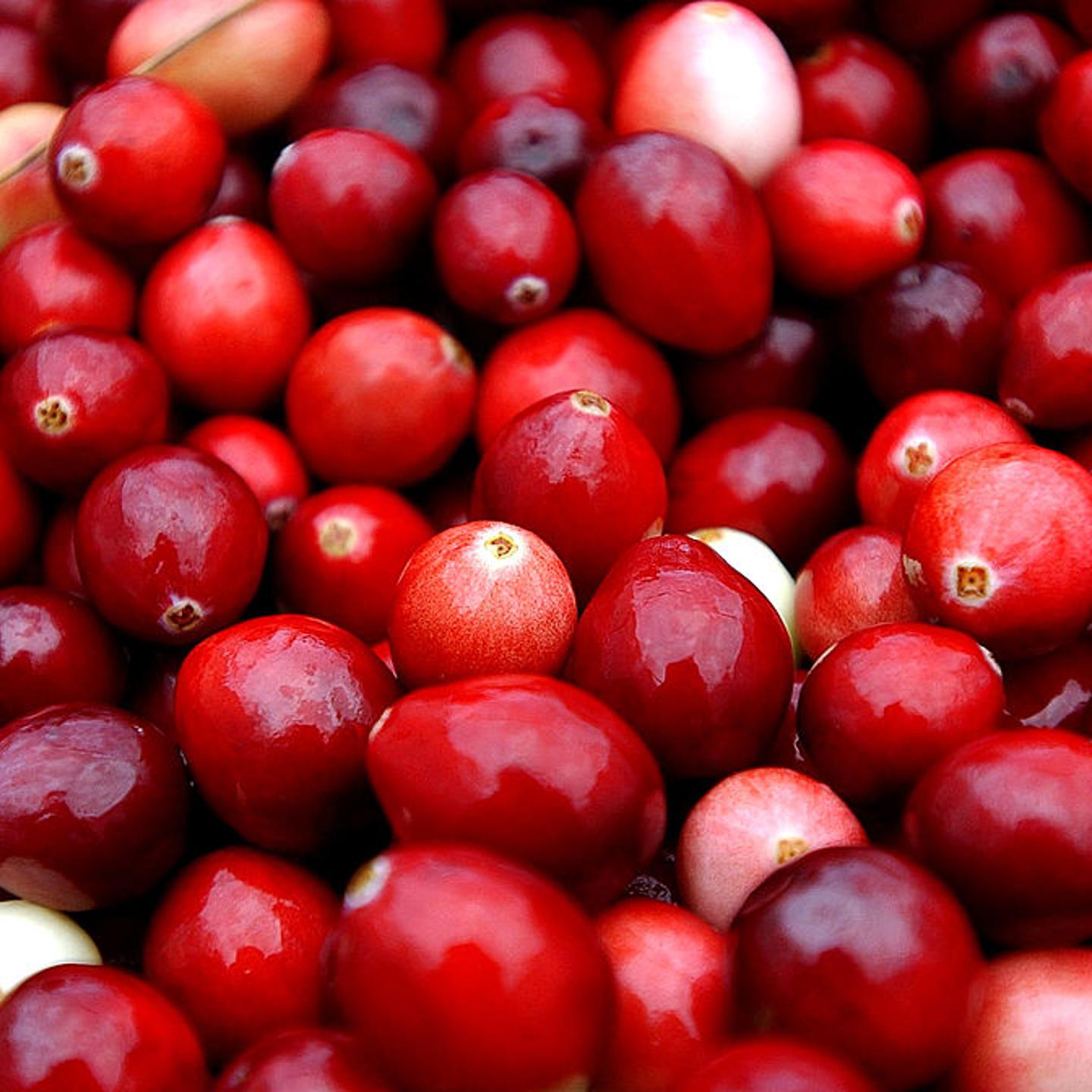 Rising global temperatures can impact cranberry production.