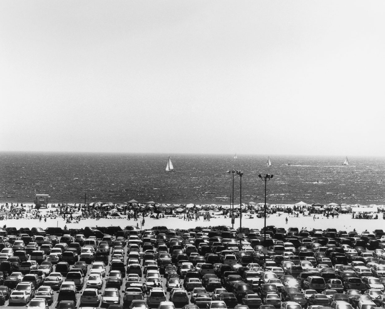 Nature Within the City: Bruce Davidson's Los Angeles
