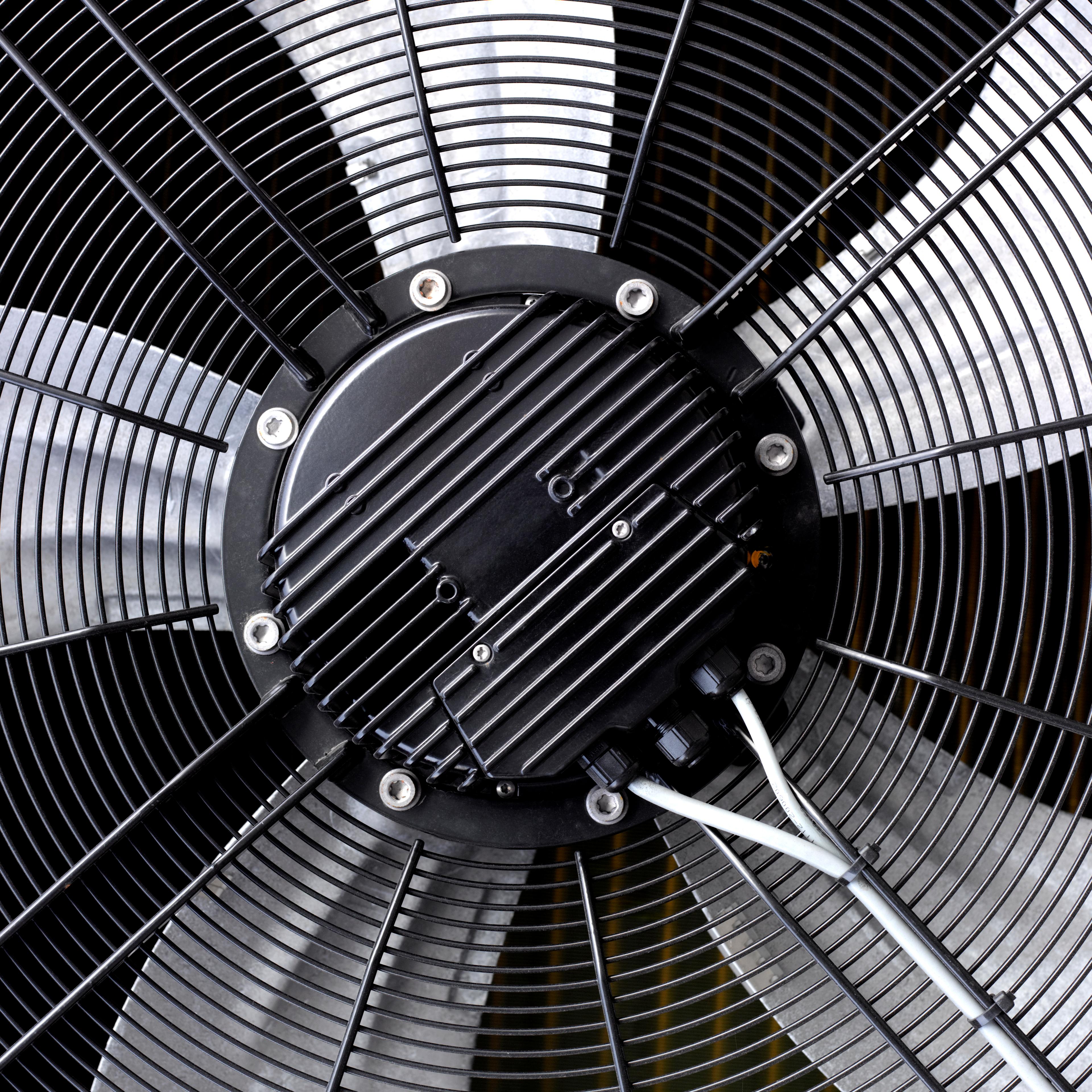 Fan