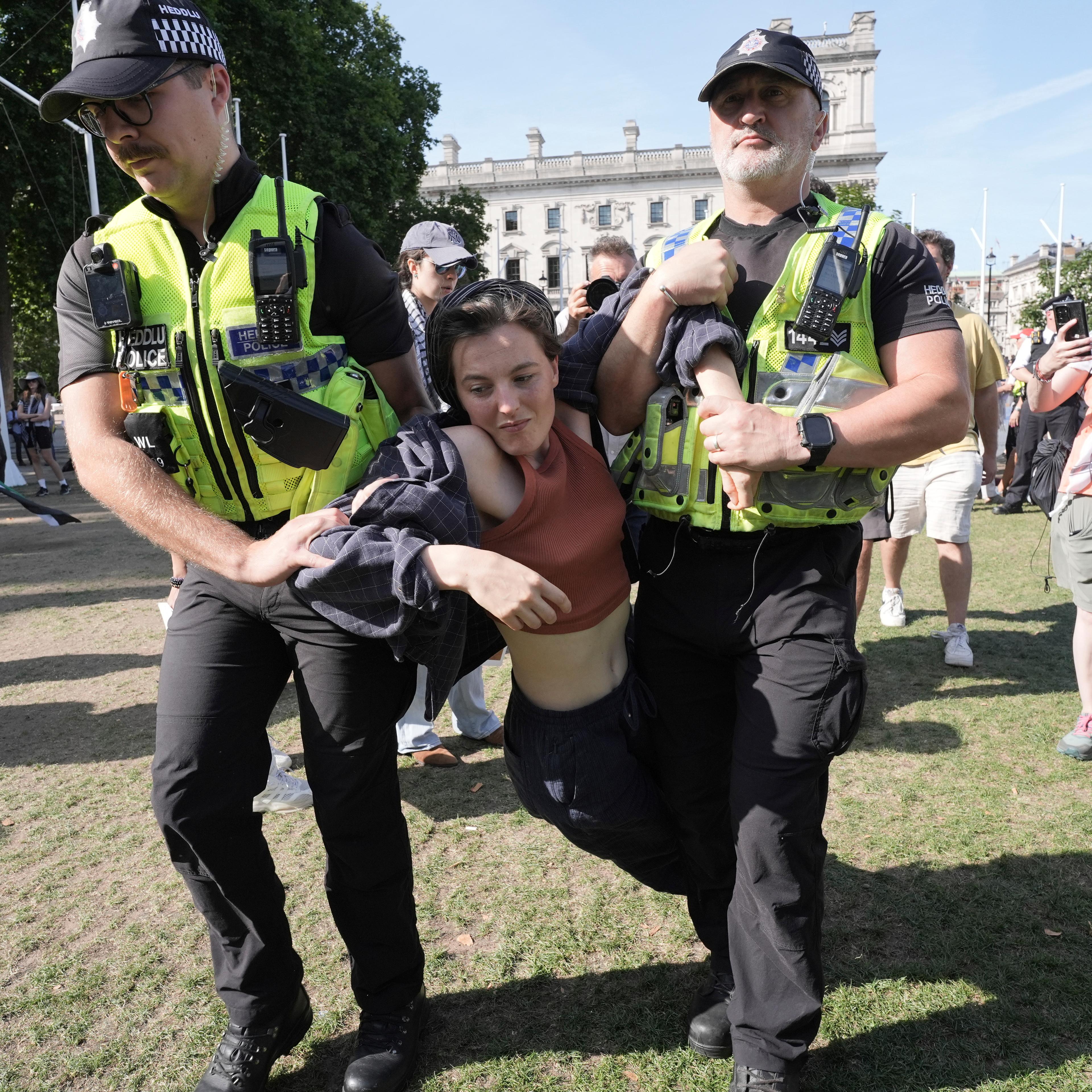 Palestine Action mass action