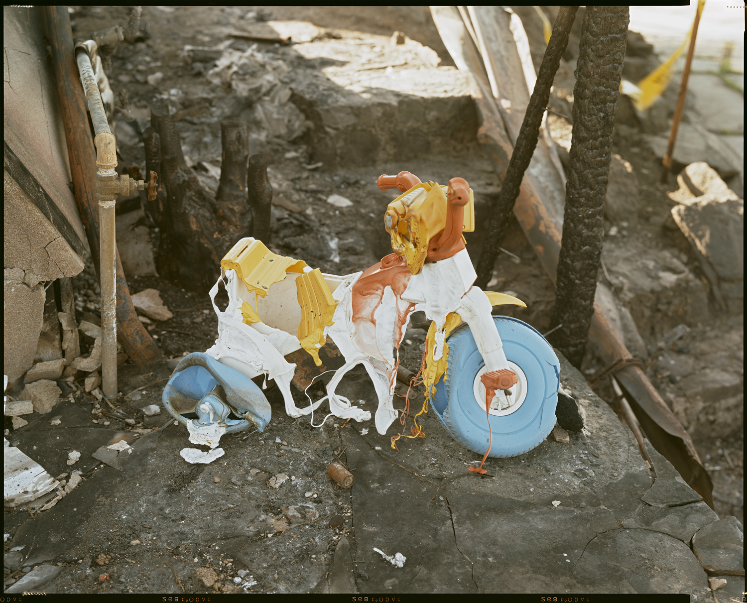 1991–The Oakland-Berkeley Fire Aftermath: Landscape photography by