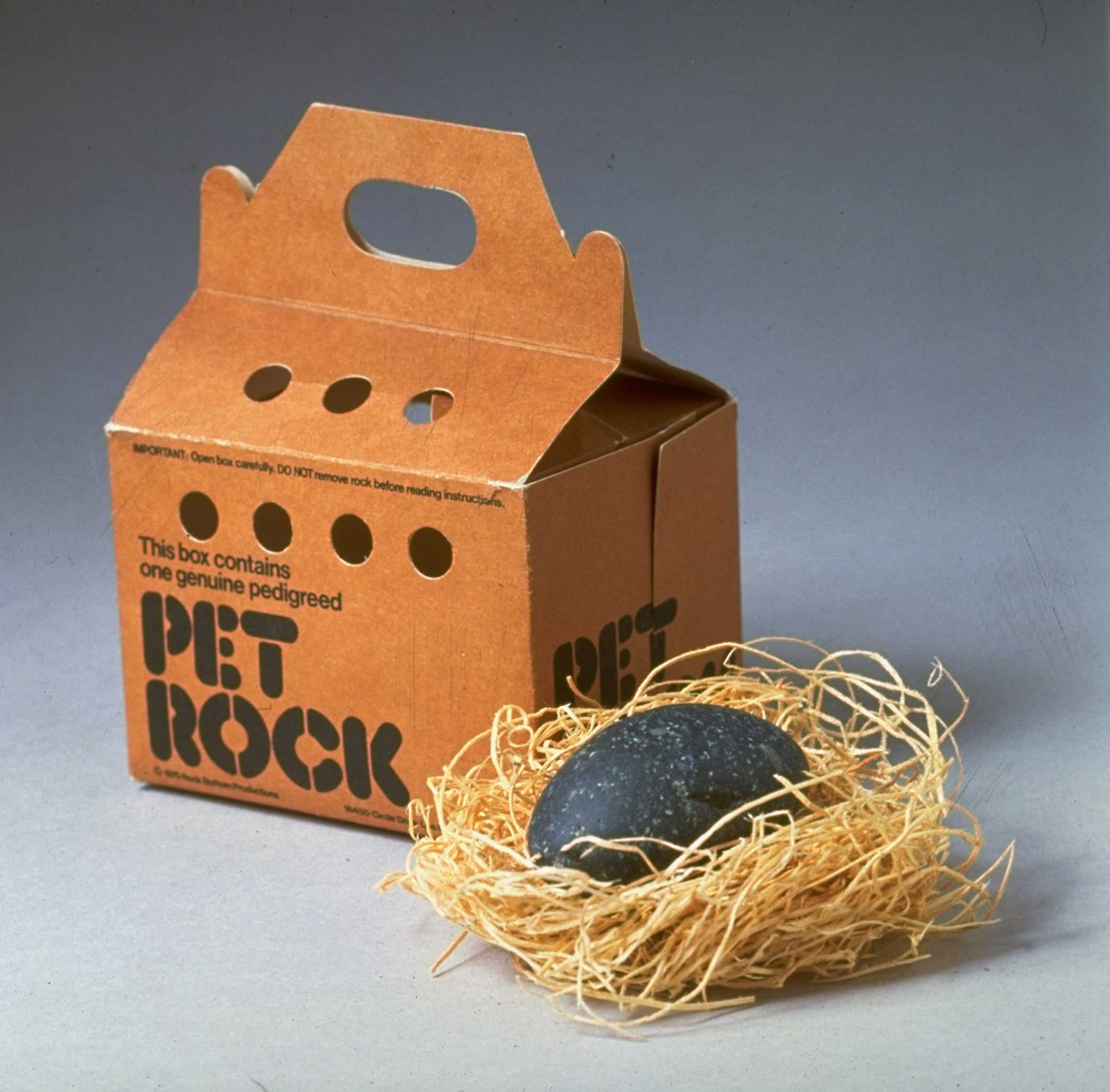 Whatever Happened To Pet Rocks Infobarrel