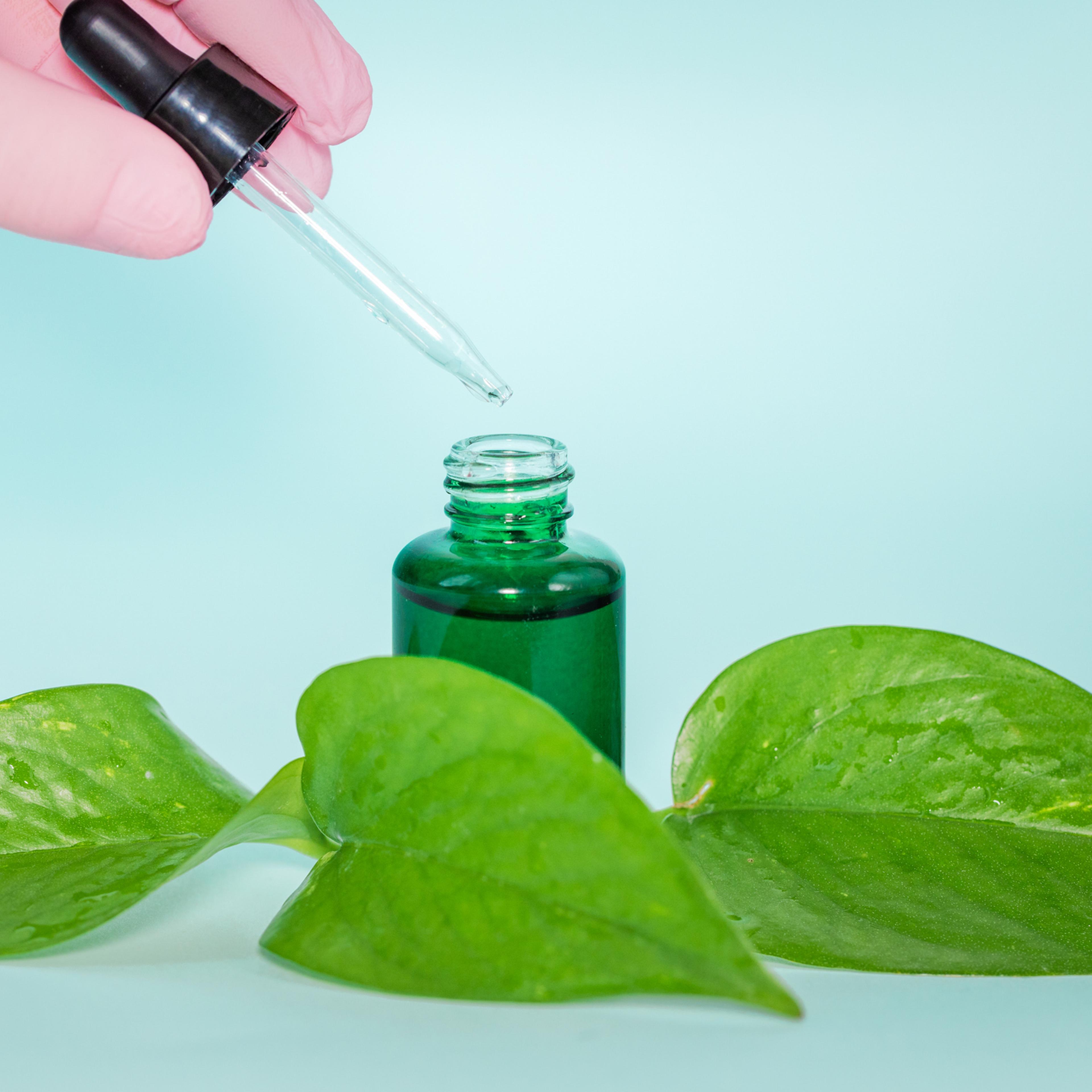 Research on natural medicines, learning about green medicine, Aromatherapy, herbs, spice medicines, Nature supporting health, blue background, copy space