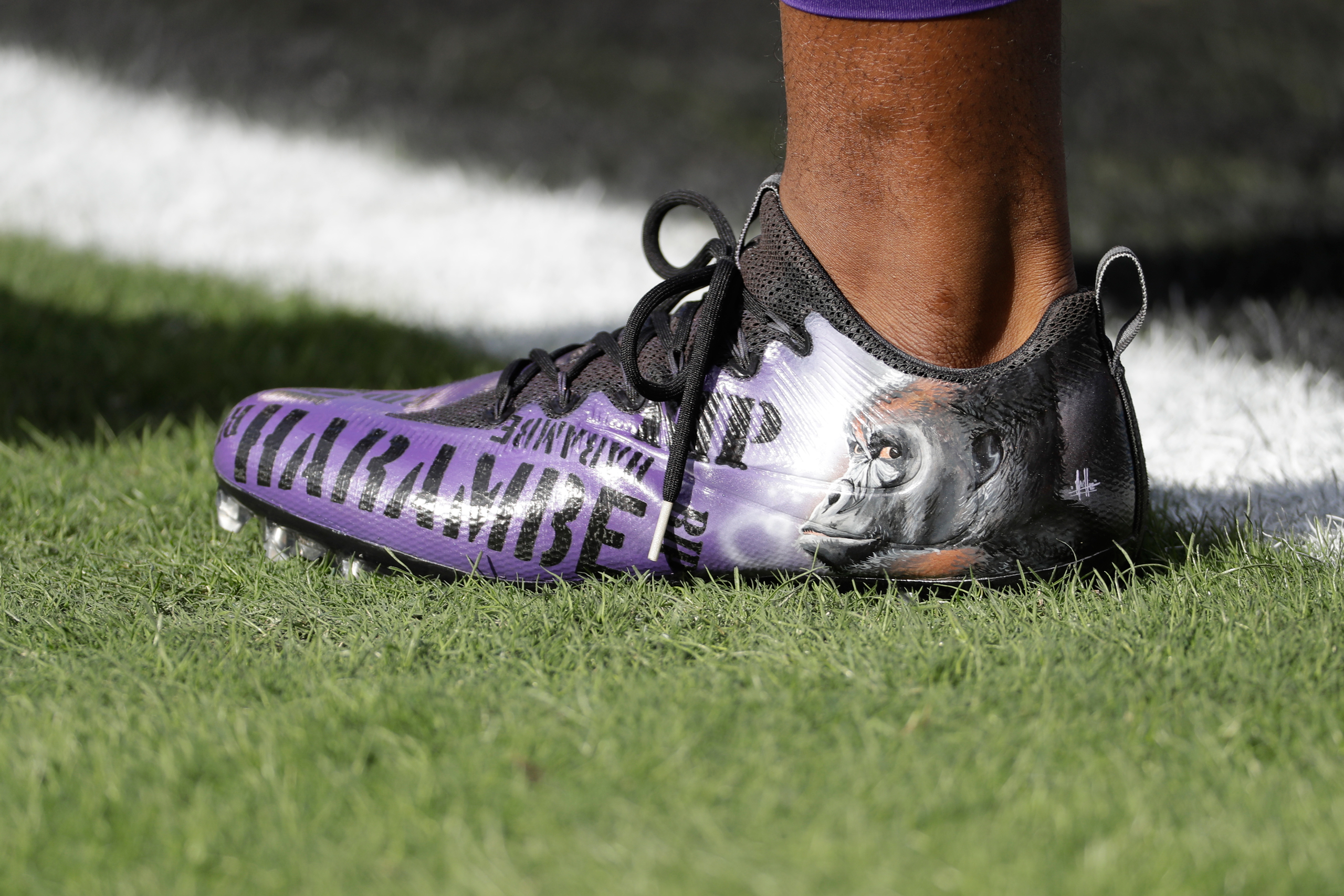 harambe-vikings.jpg?branch=