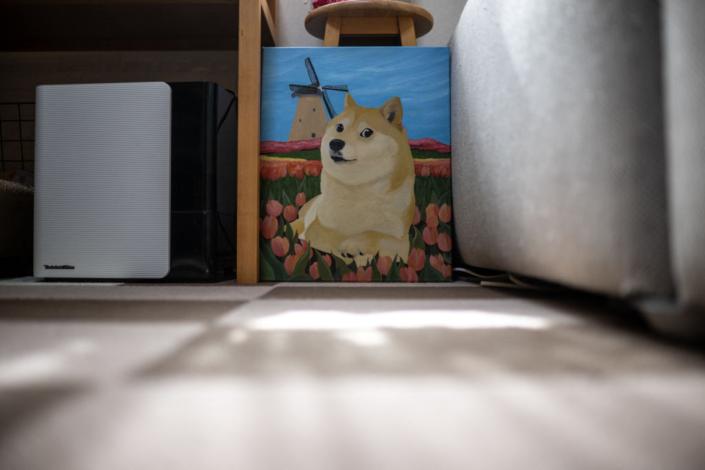 JAPAN-INTERNET-CRYPTO-MEME-DOGE-WOW