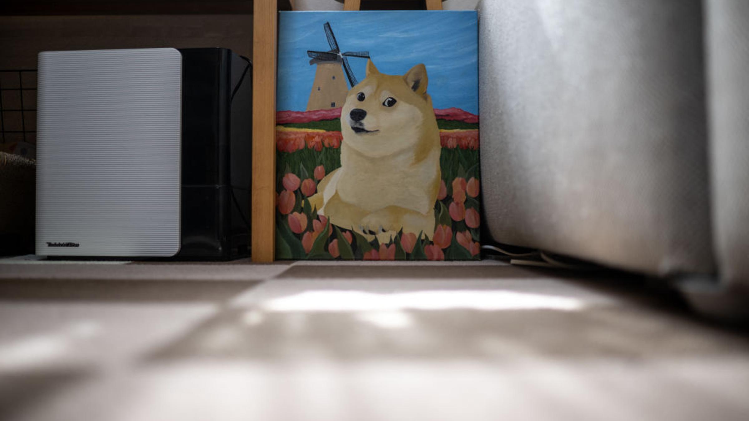 JAPAN-INTERNET-CRYPTO-MEME-DOGE-WOW