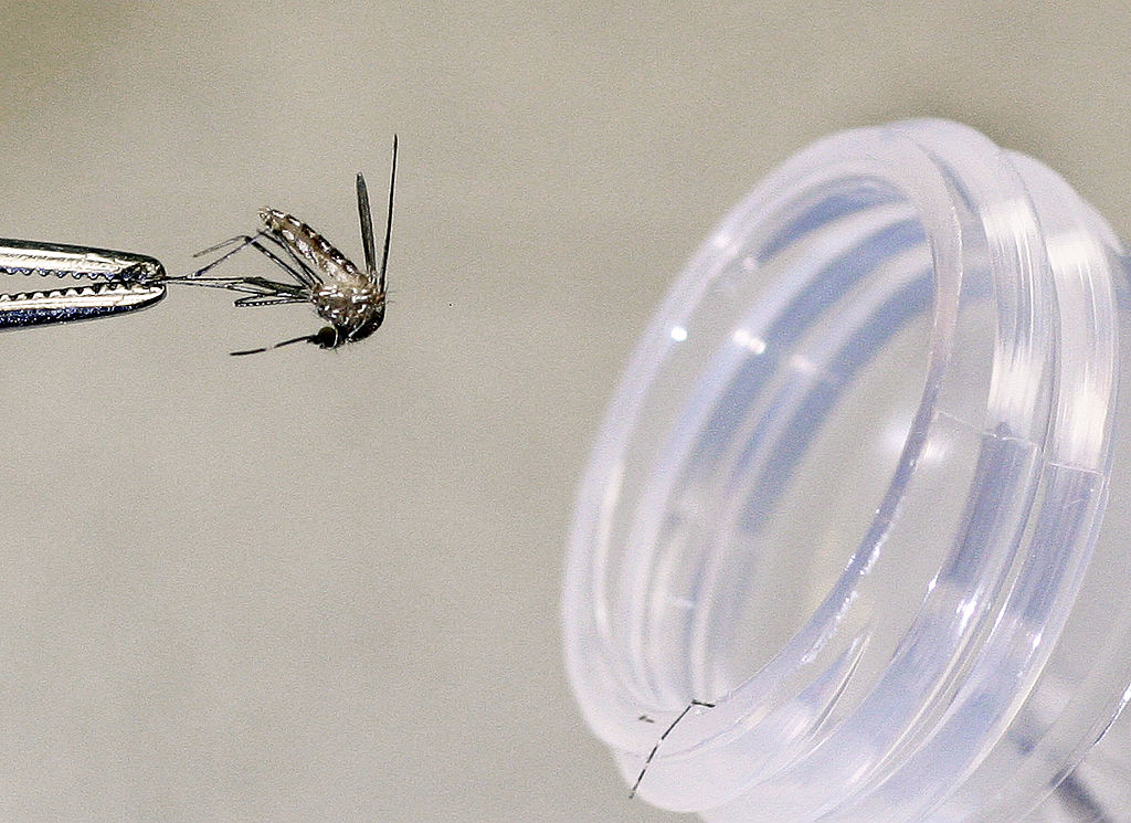 Arizona Officials Battle West Nile Virus