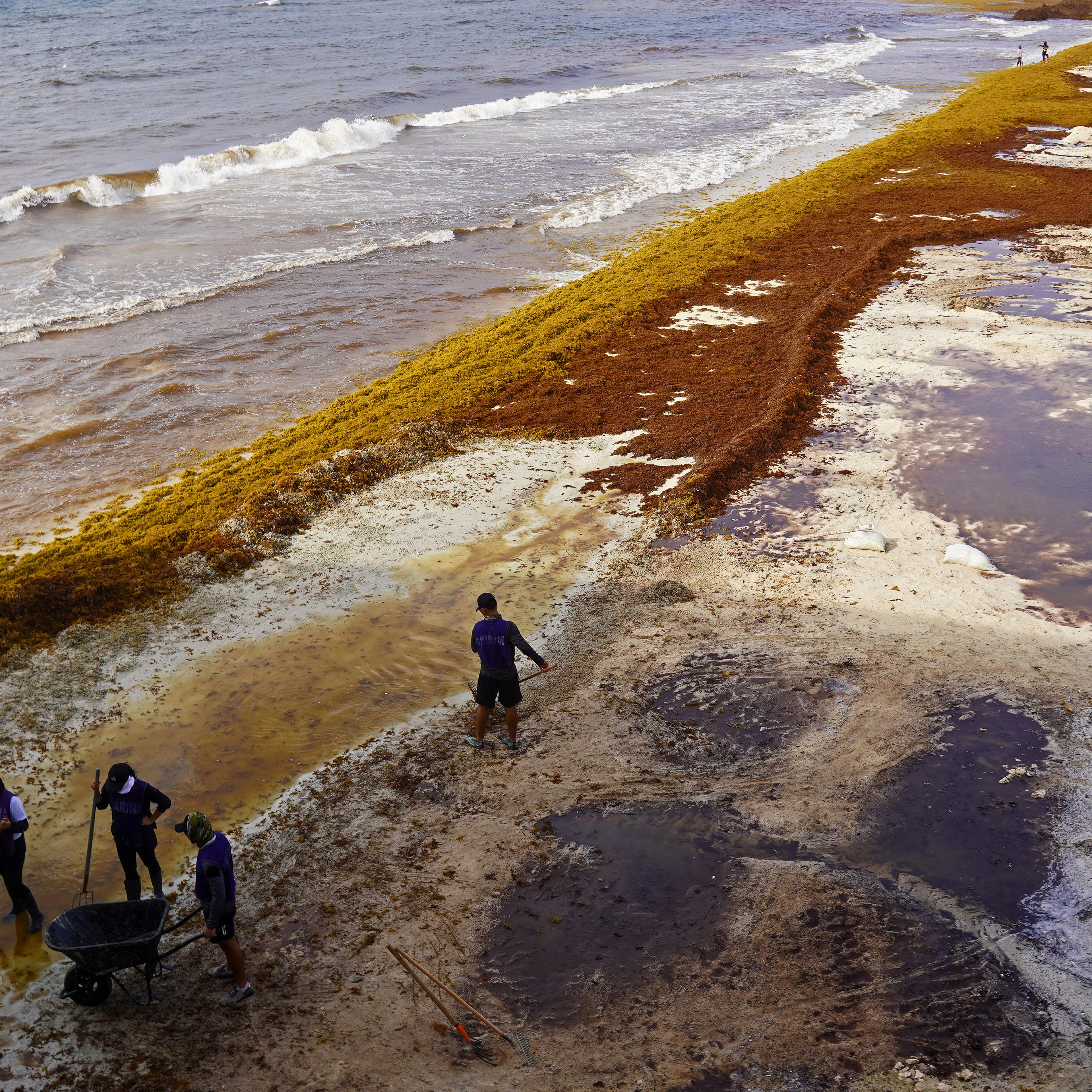 Aerial view of workers removing sargassum from the shore of Playa del Carmen Beach in the state of Quintana Roo, Mexico, on June 18, 2025.