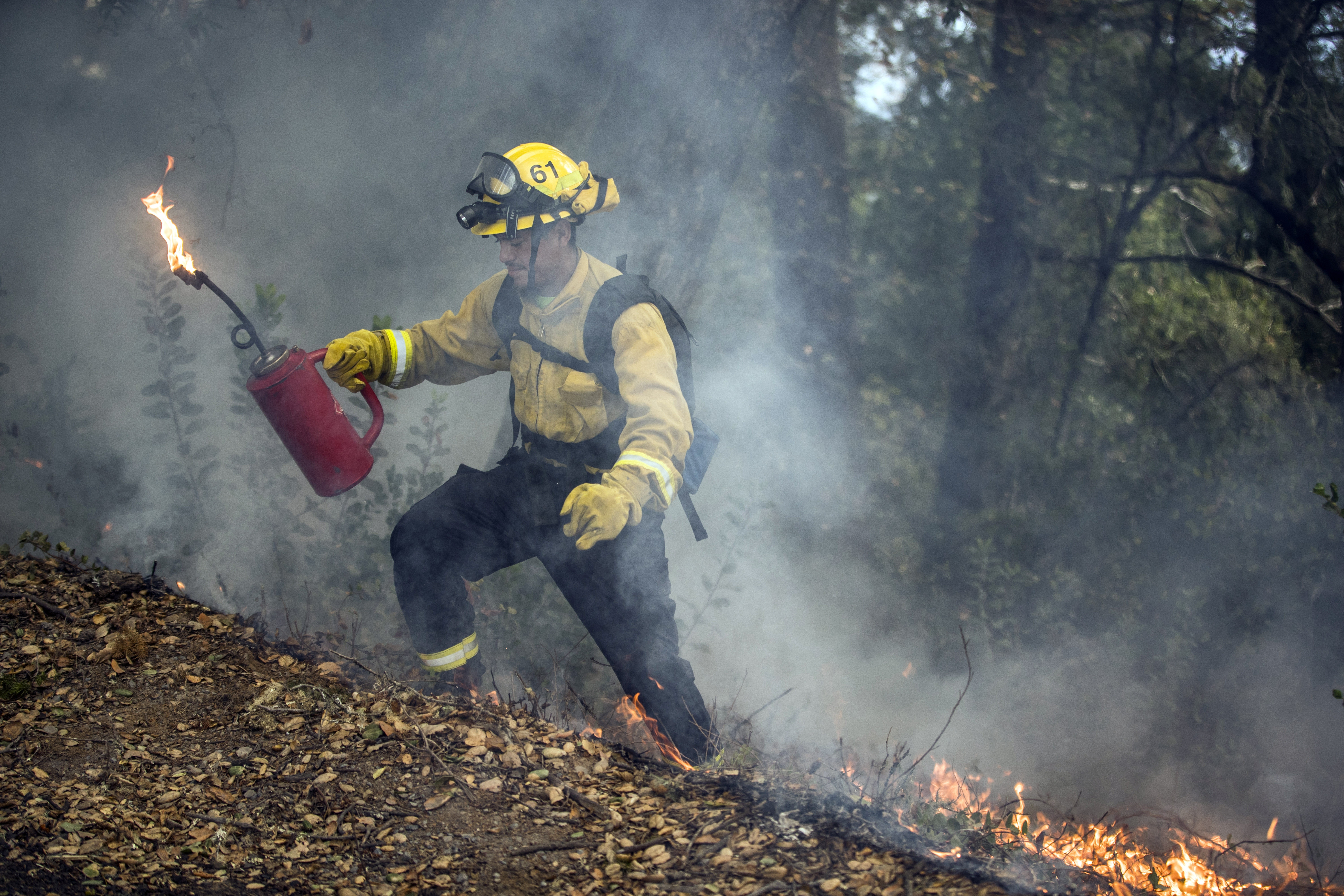 A firefighter ignites piled leaves and brush during a prescribed burn in Healdsburg, Calif., in Nov. 2020.