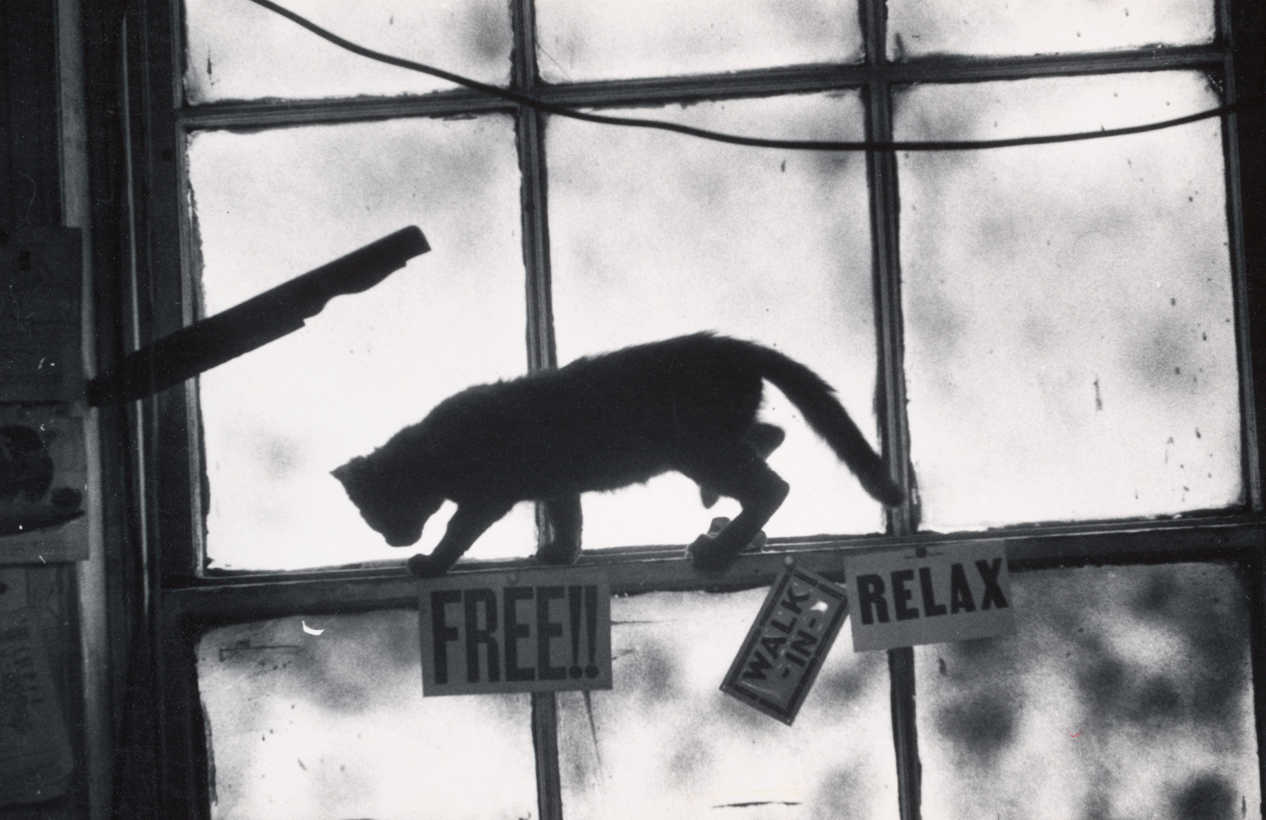 The Jazz Loft According to W. Eugene Smith: See the Photos