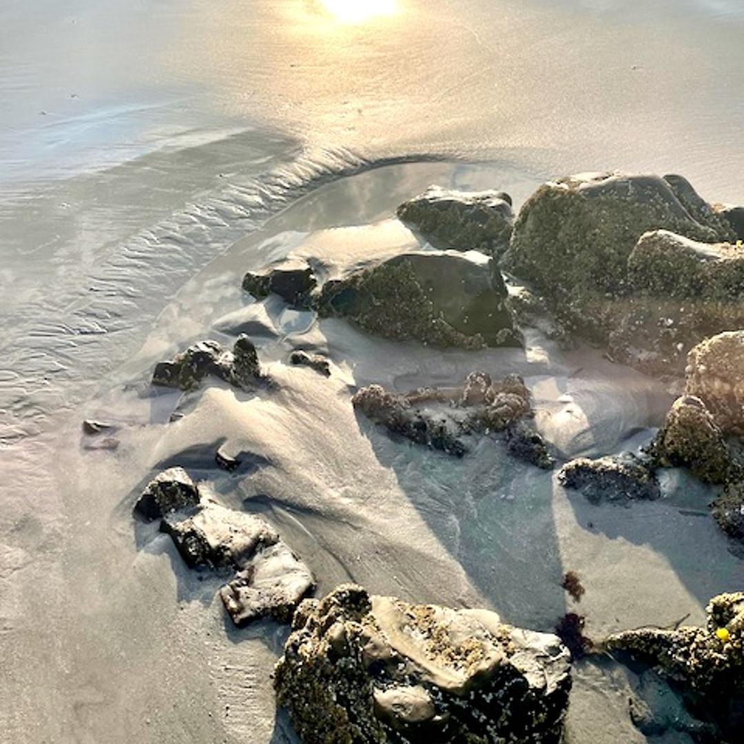 Maine coastline 2021