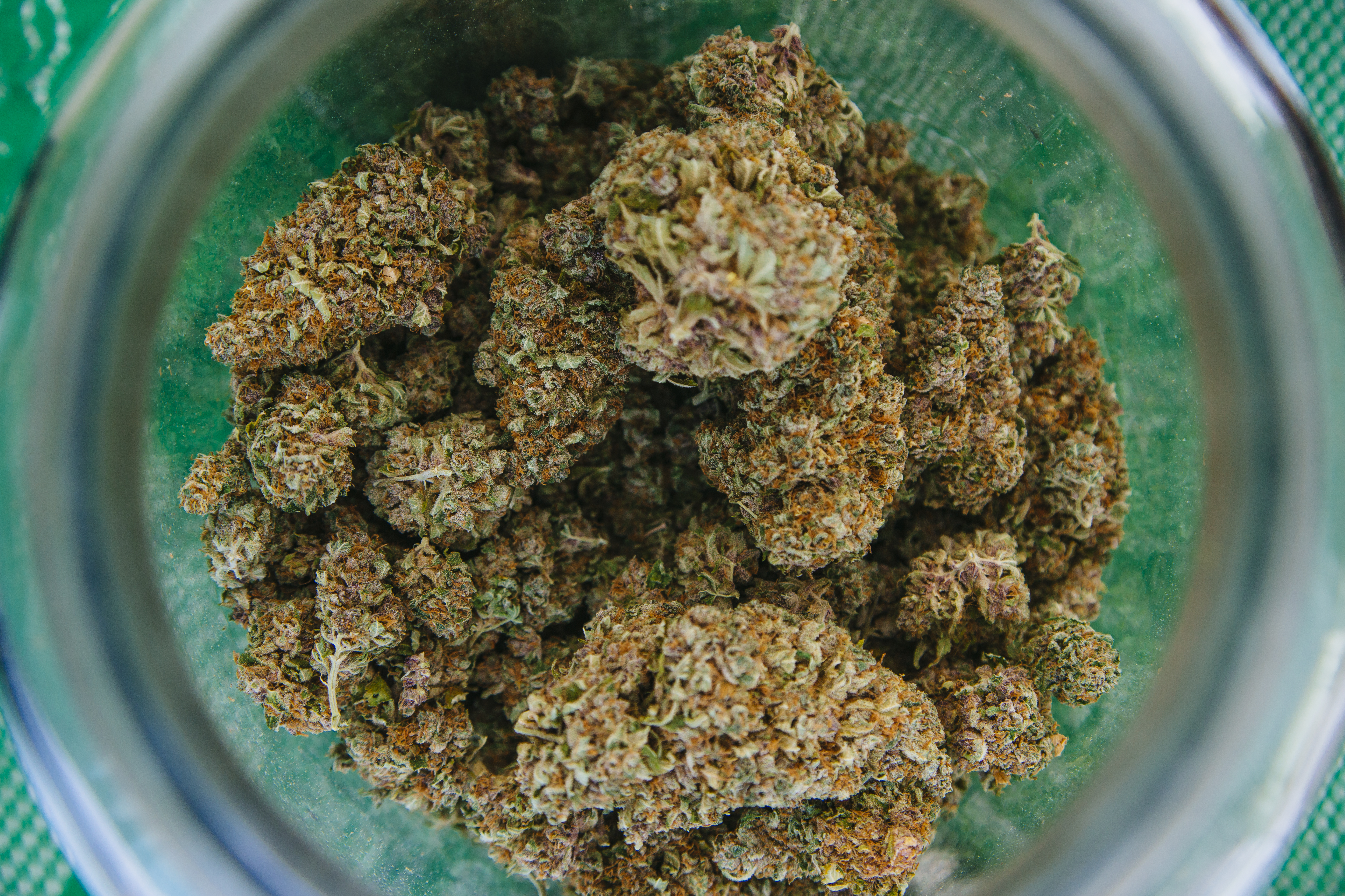 2014 Cannabis Cup in San Bernardino