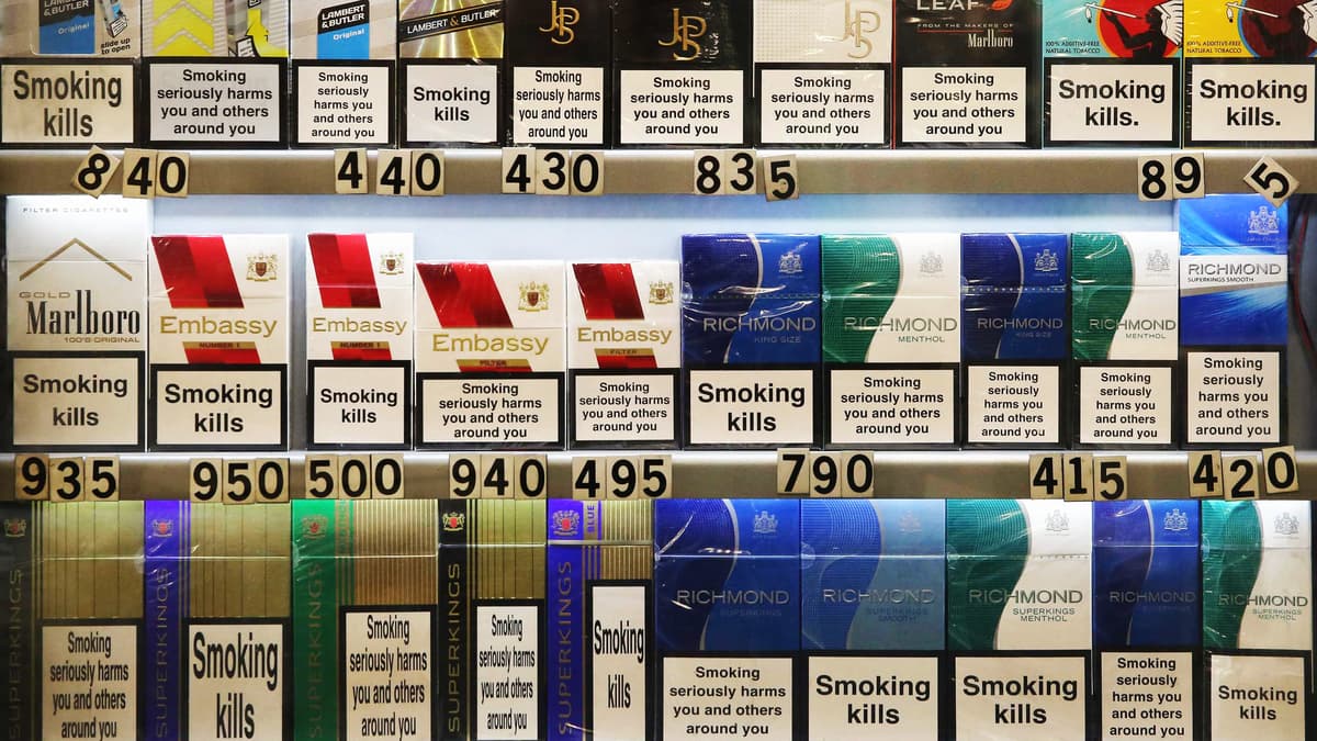chinese cigarettes amazon Traditional Cigarette :: Original Zhenlong Lingyun Slim Cigarettes– US Warehouse Fast Free Shipping Delivery (3–5 Days) – 1 Carton (10 Packs / 200 Sticks) – Premium Chinese Tobacco with Filter Beads | chinese cigarettes amazon Traditional Cigarette :: Original Zhenlong Lingyun Slim Cigarettes– US Warehouse Fast Free Shipping Delivery (3–5 Days) – 1 Carton (10 Packs / 200 Sticks) – Premium Chinese Tobacco with Filter Beads |